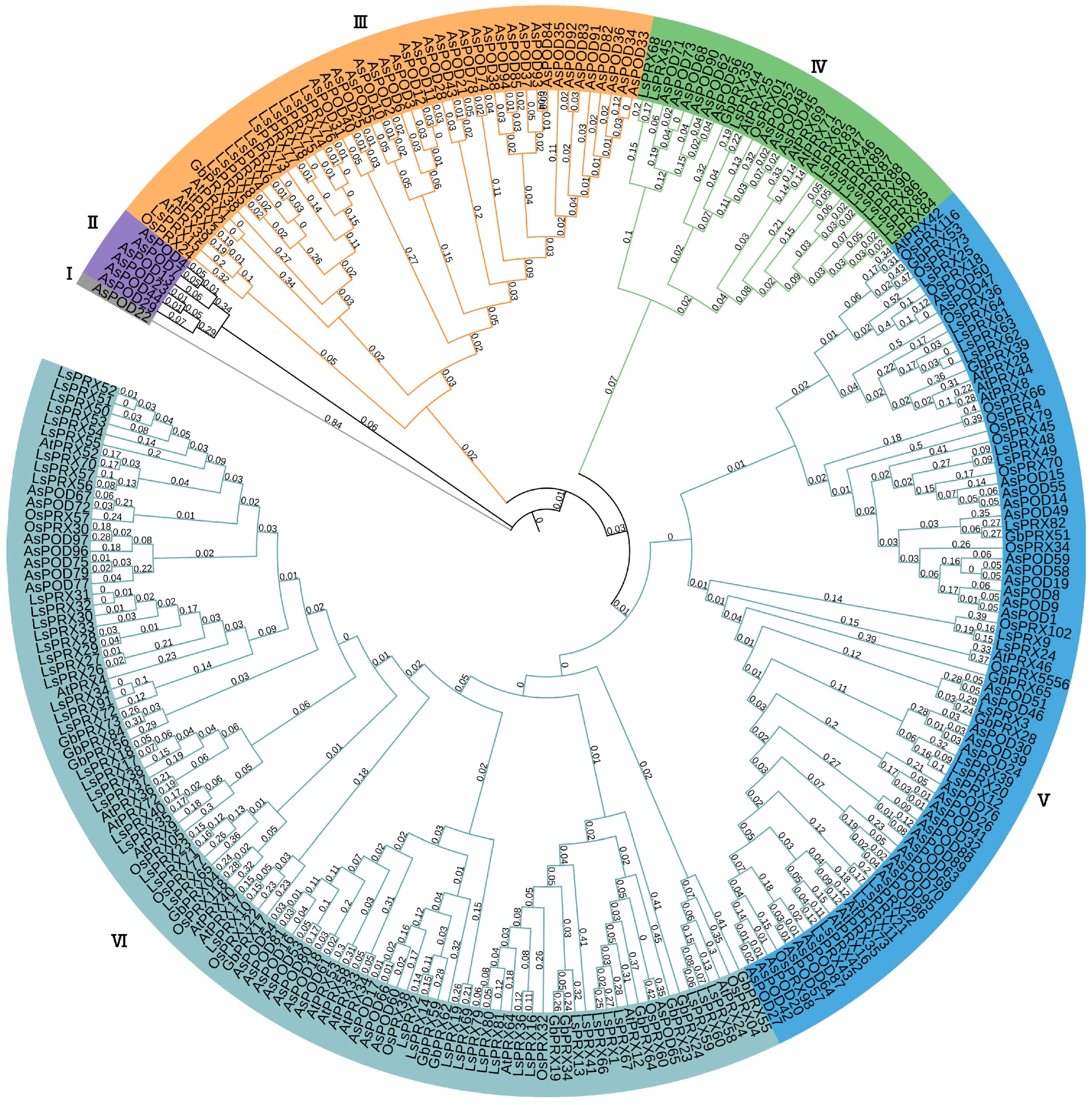 Agronomy 15 00852 g003
