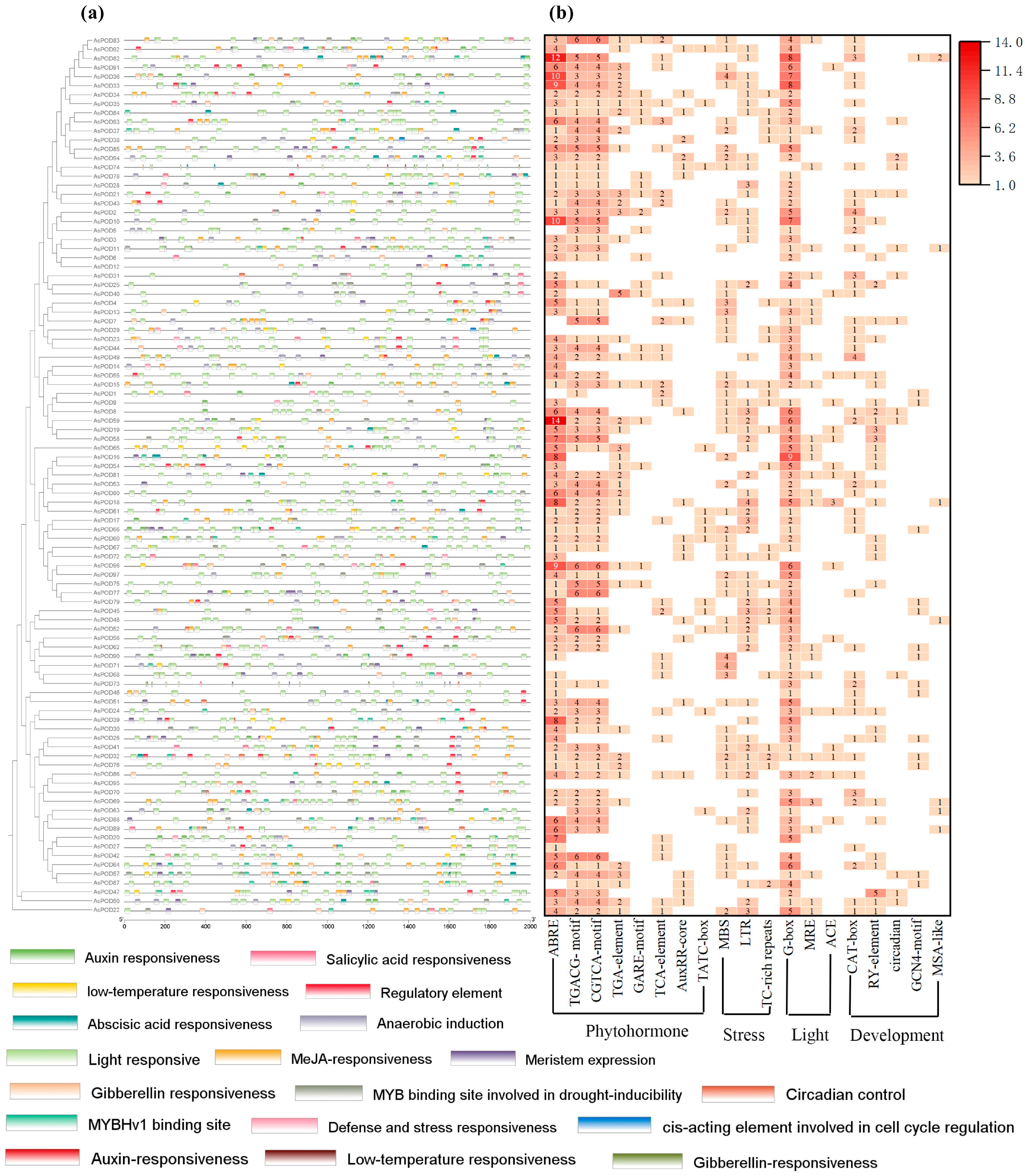 Agronomy 15 00852 g004