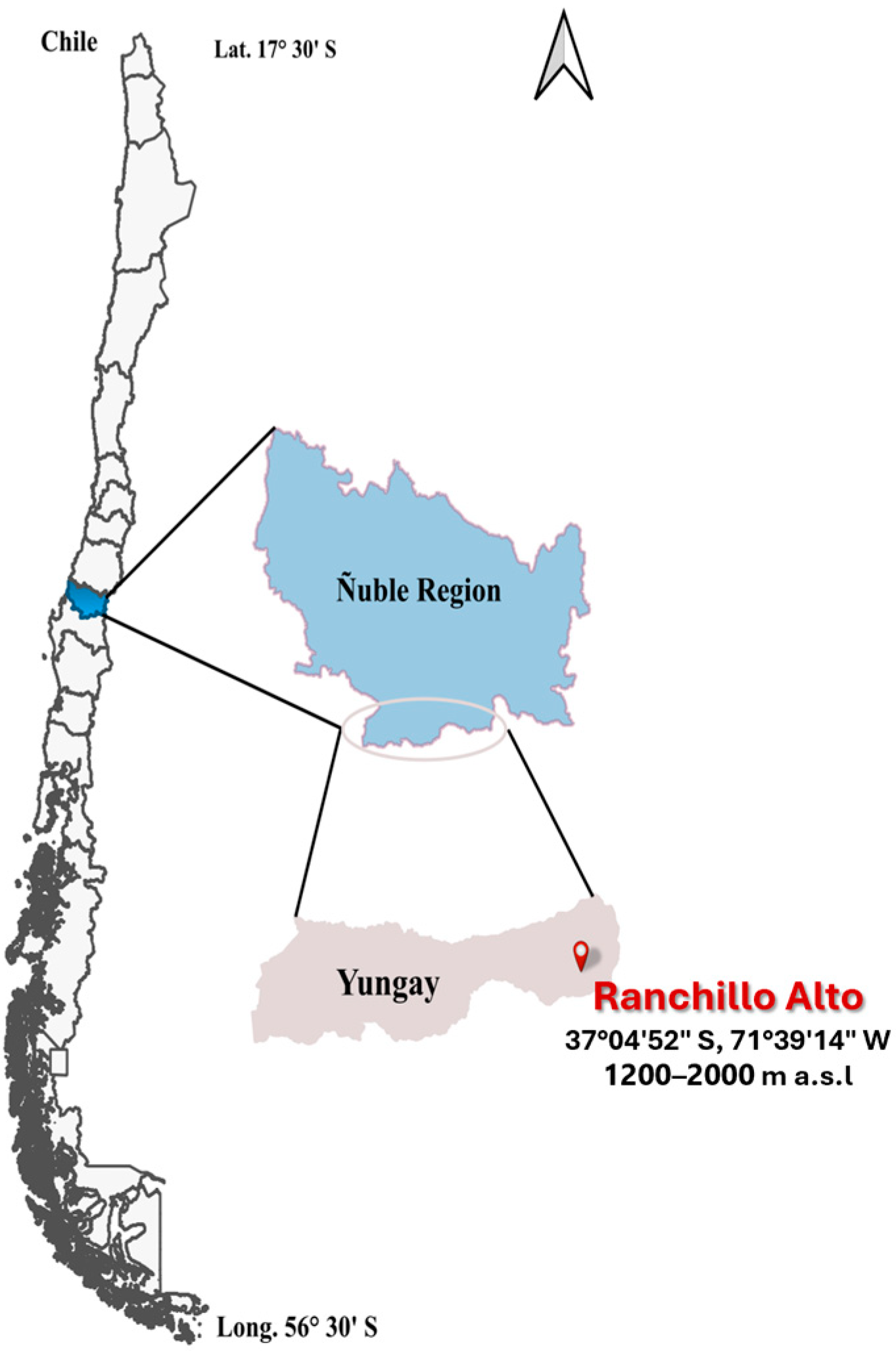 Agronomy 15 00855 g001