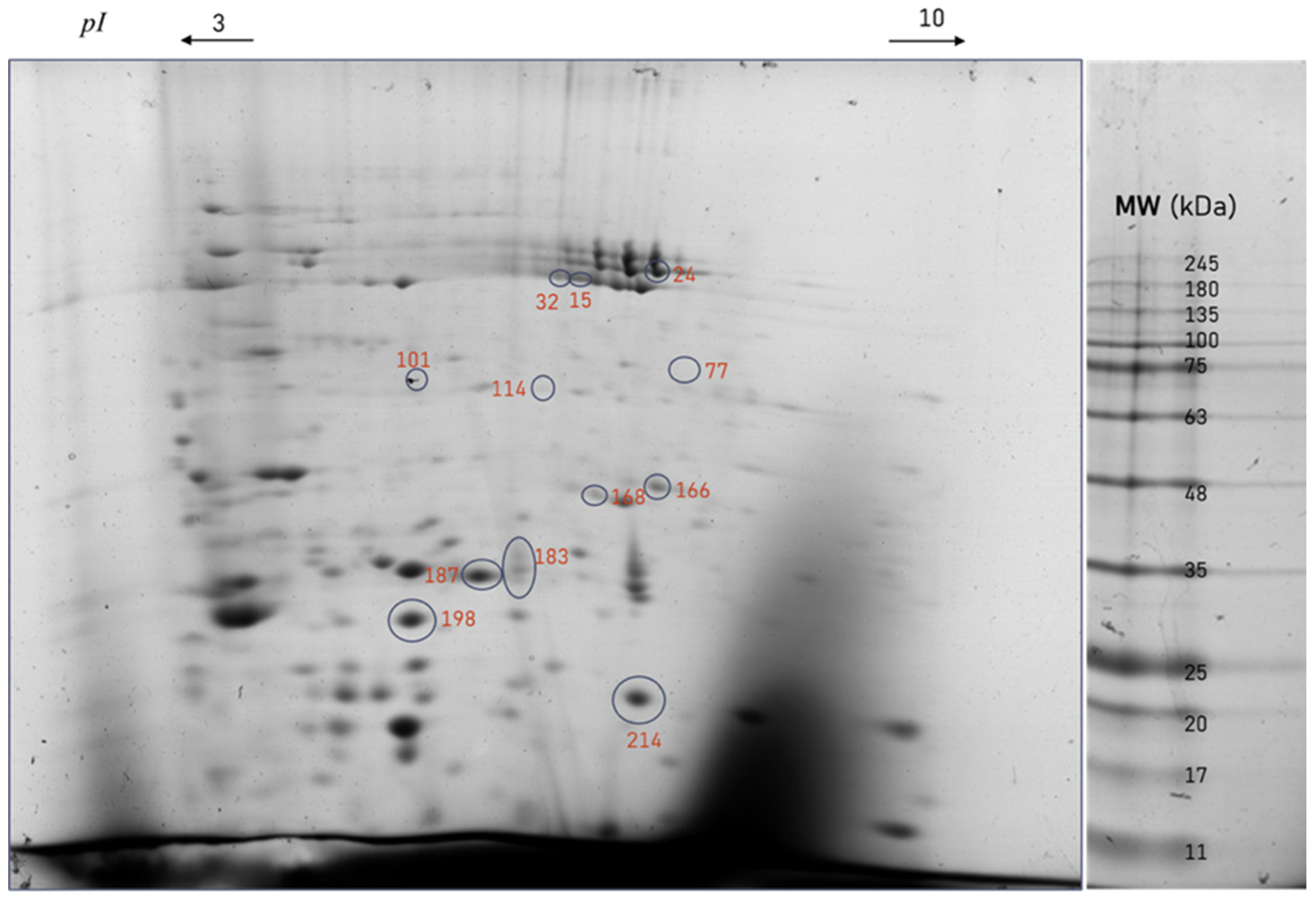 Agronomy 15 00869 g003