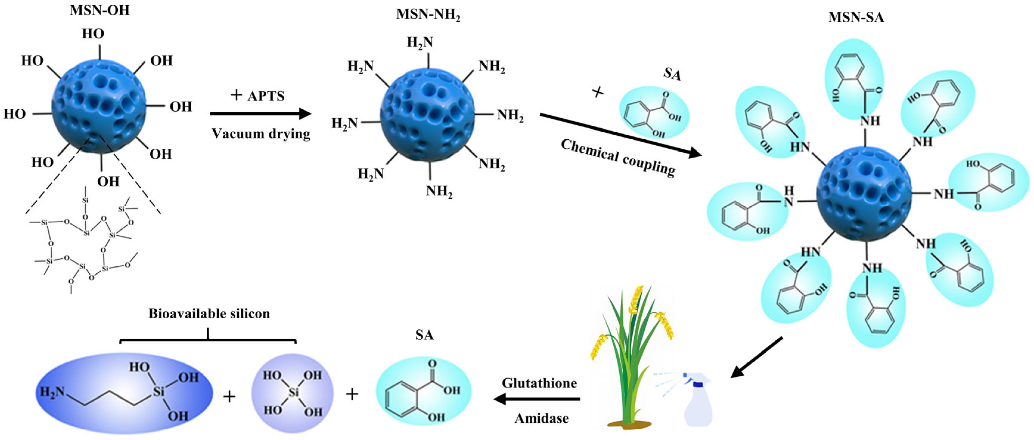 pp様 ミズノプロ MizunoPro 耕作オーダー キップレザー 投手用 硬式