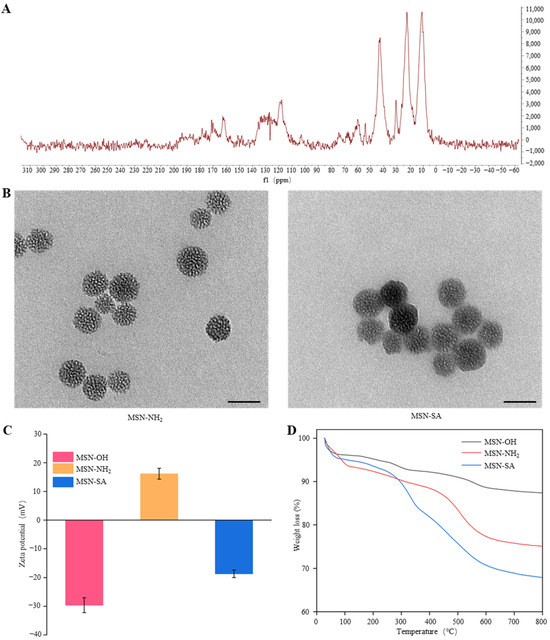Oxygen Generation Using Catalytic Nano/Micromotors