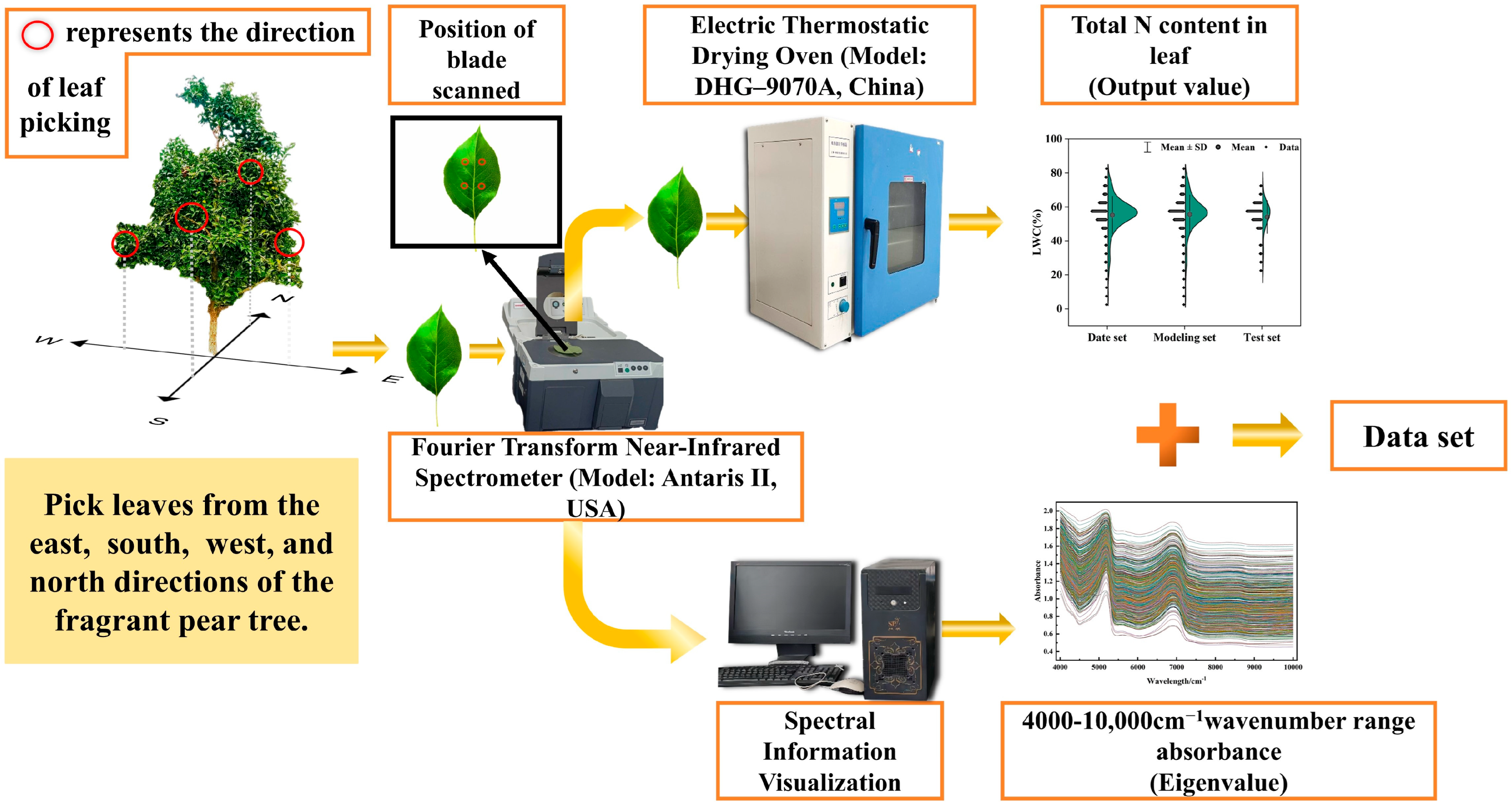Agronomy 15 00876 g001