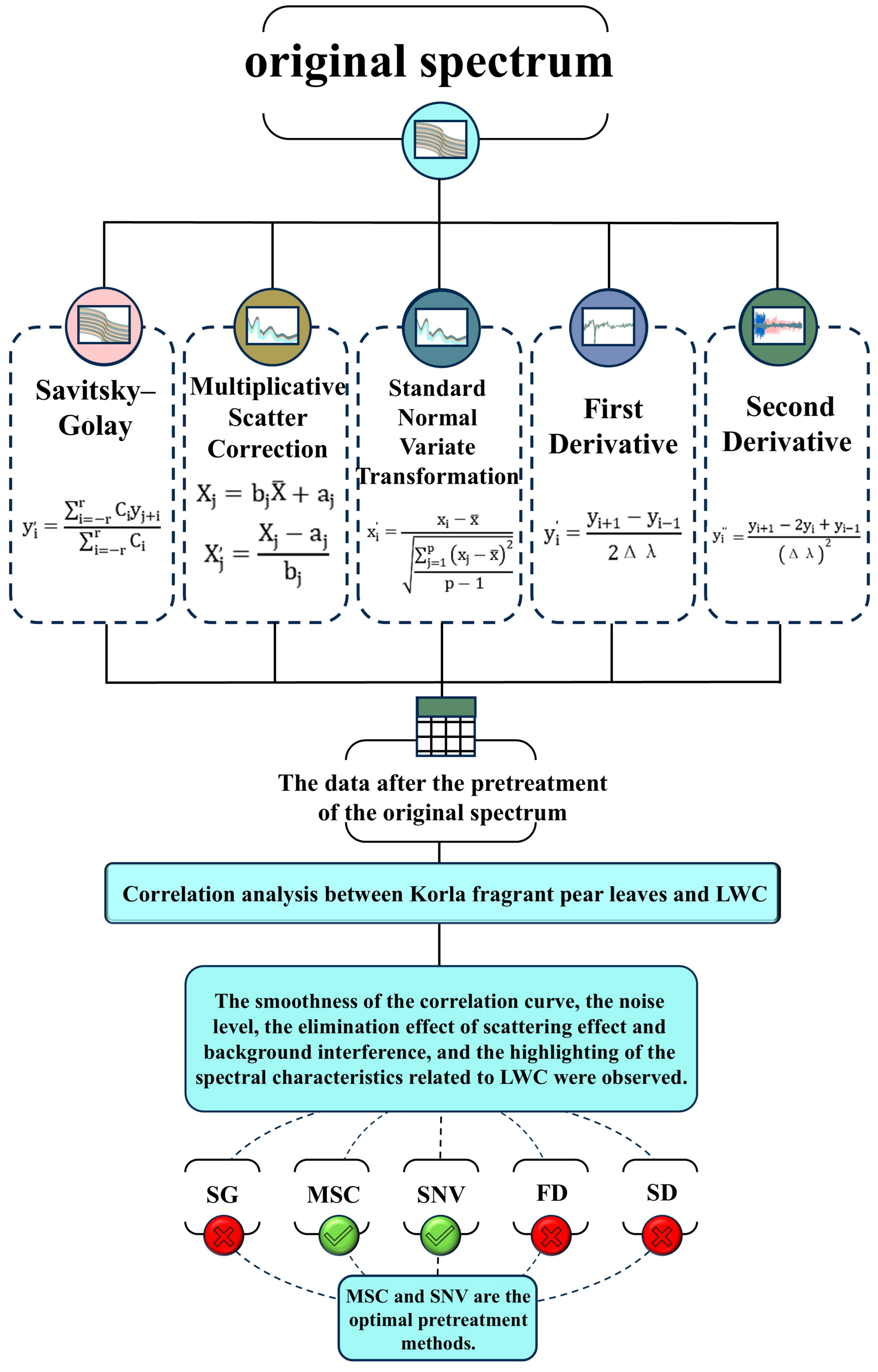 Agronomy 15 00876 g002