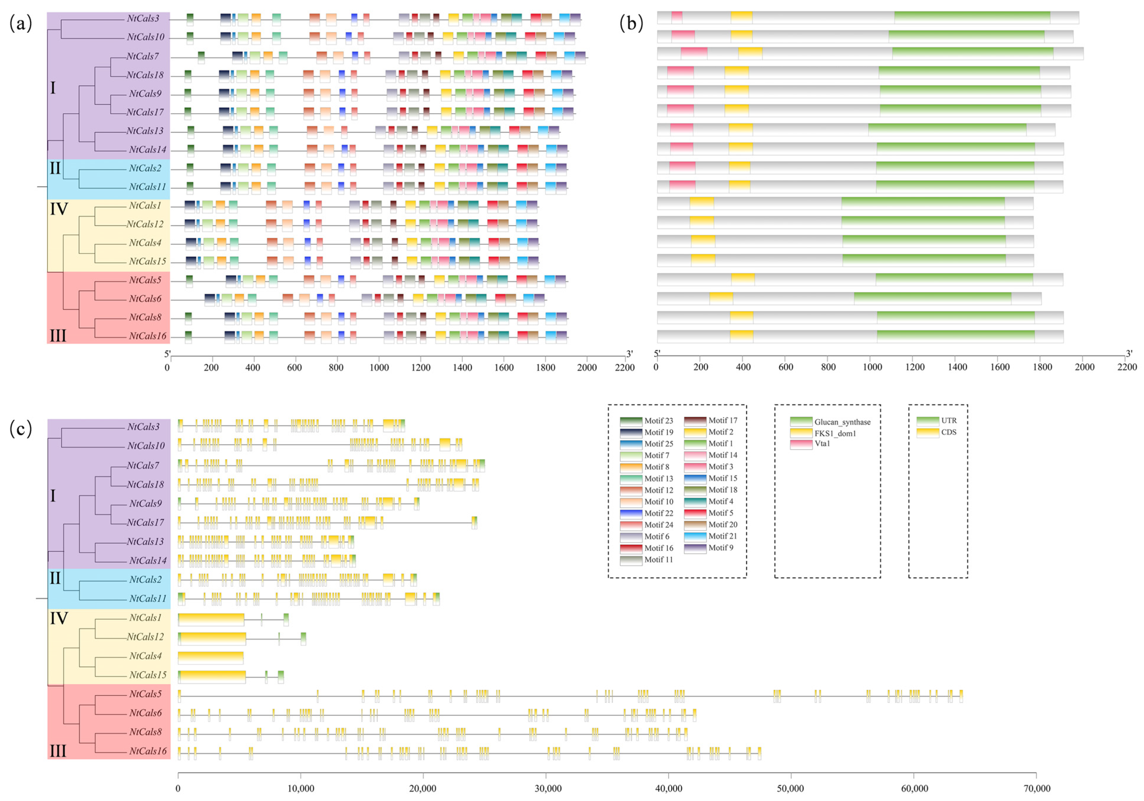 Agronomy 15 00884 g002 Agronomy 15 00884 g002