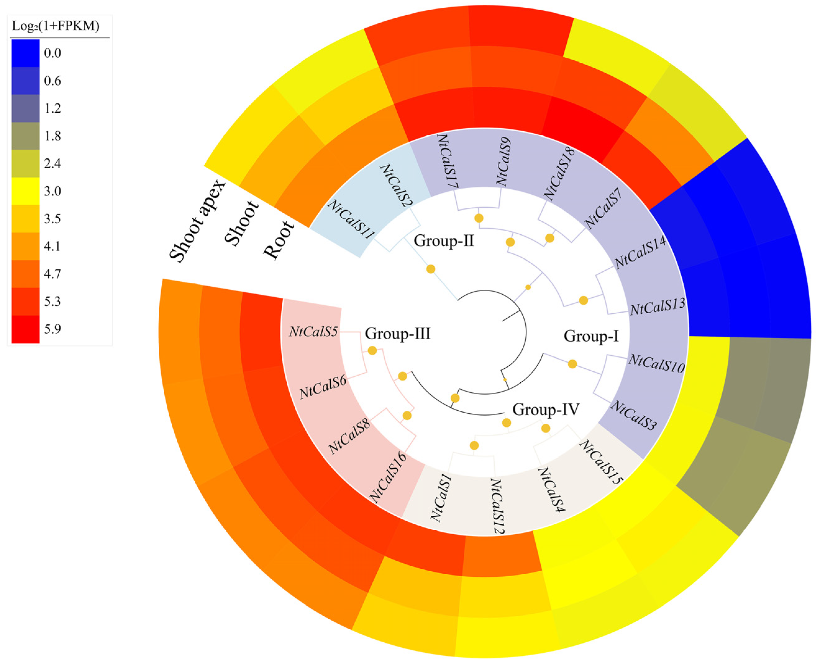 Agronomy 15 00884 g005 Agronomy 15 00884 g005