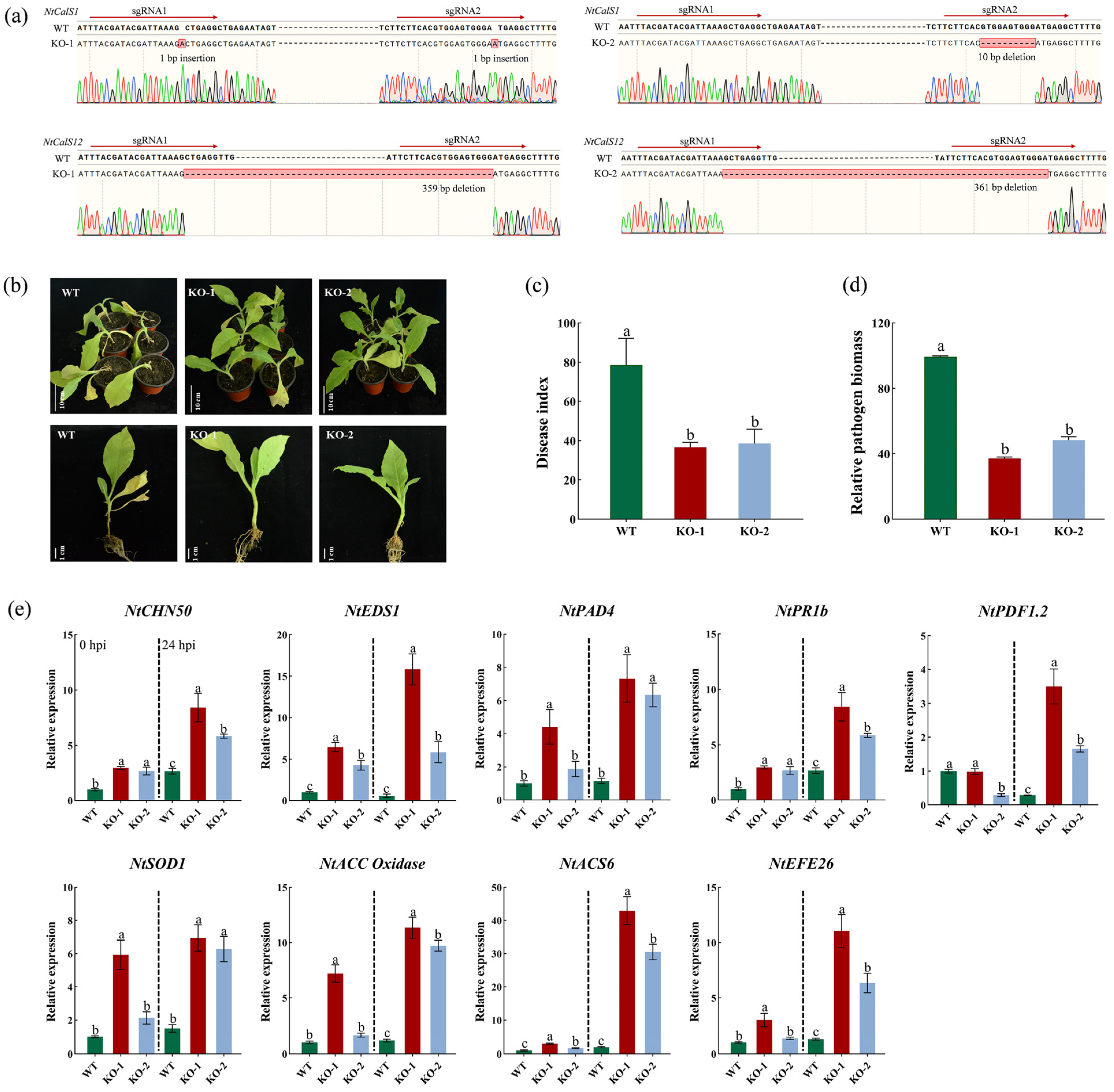 Agronomy 15 00884 g007 Agronomy 15 00884 g007