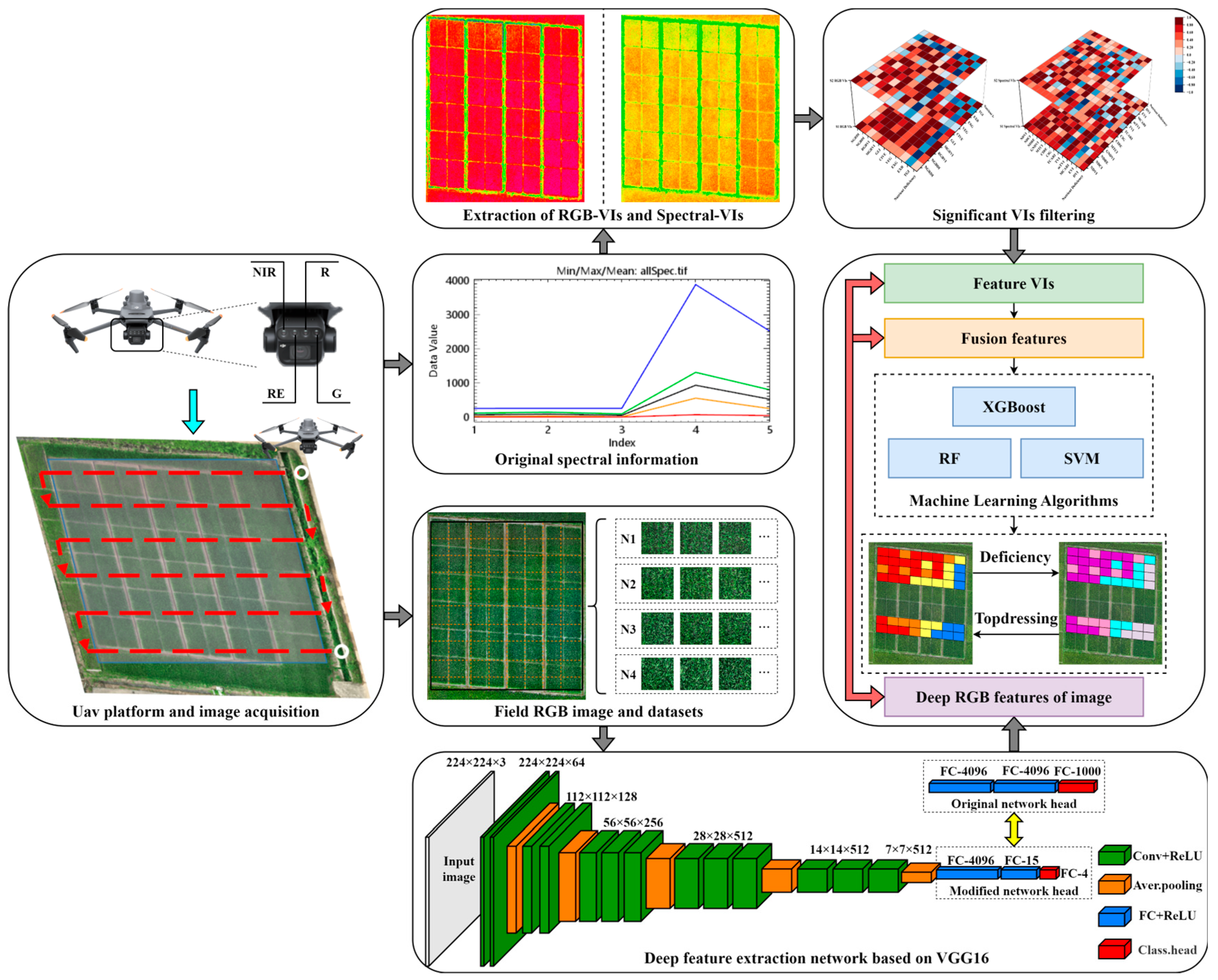 Agronomy 15 00886 g001