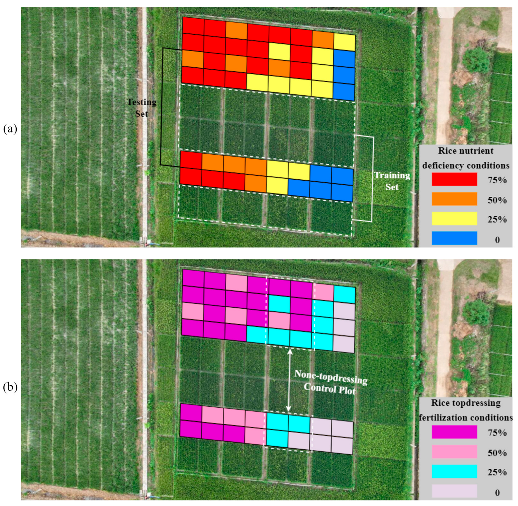 Agronomy 15 00886 g010