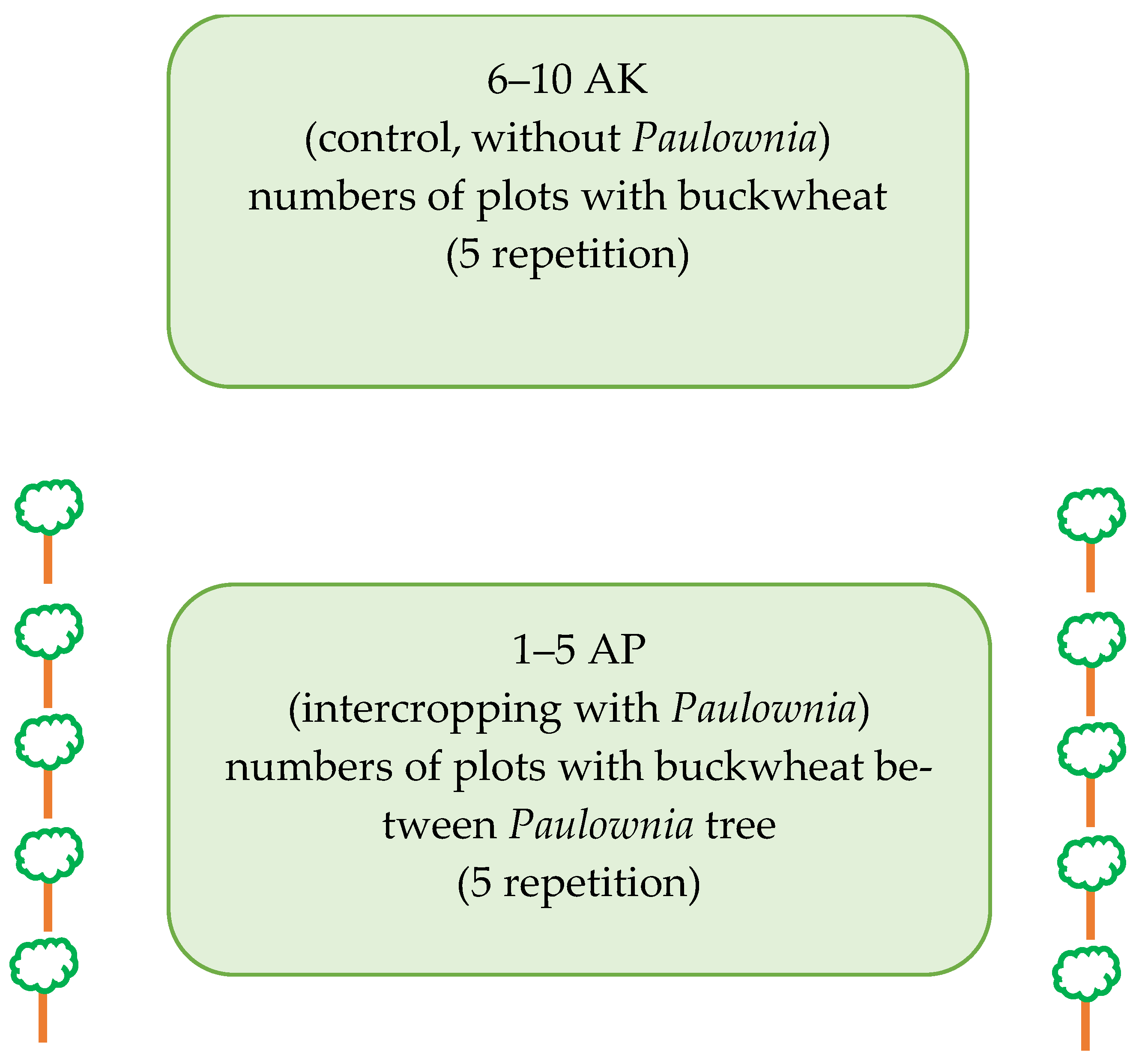 Effect of Paulownia and Buckwheat Intercropping on Soil