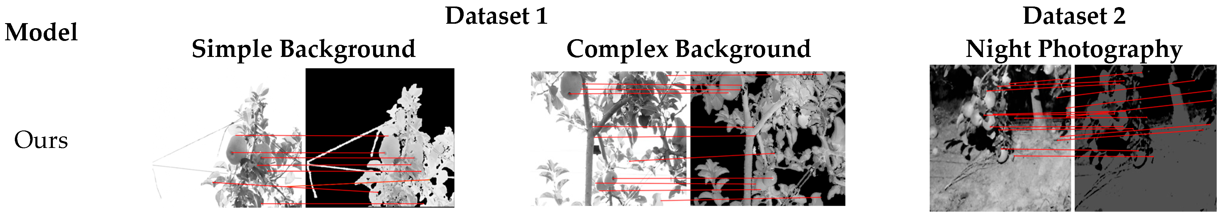 Agronomy 15 00889 g008