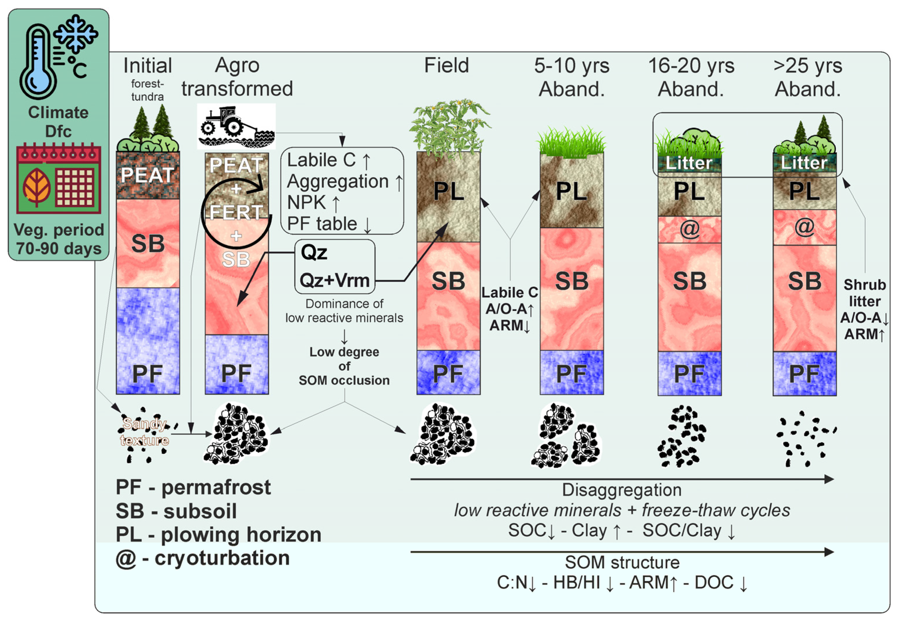 Agronomy 15 00893 g012
