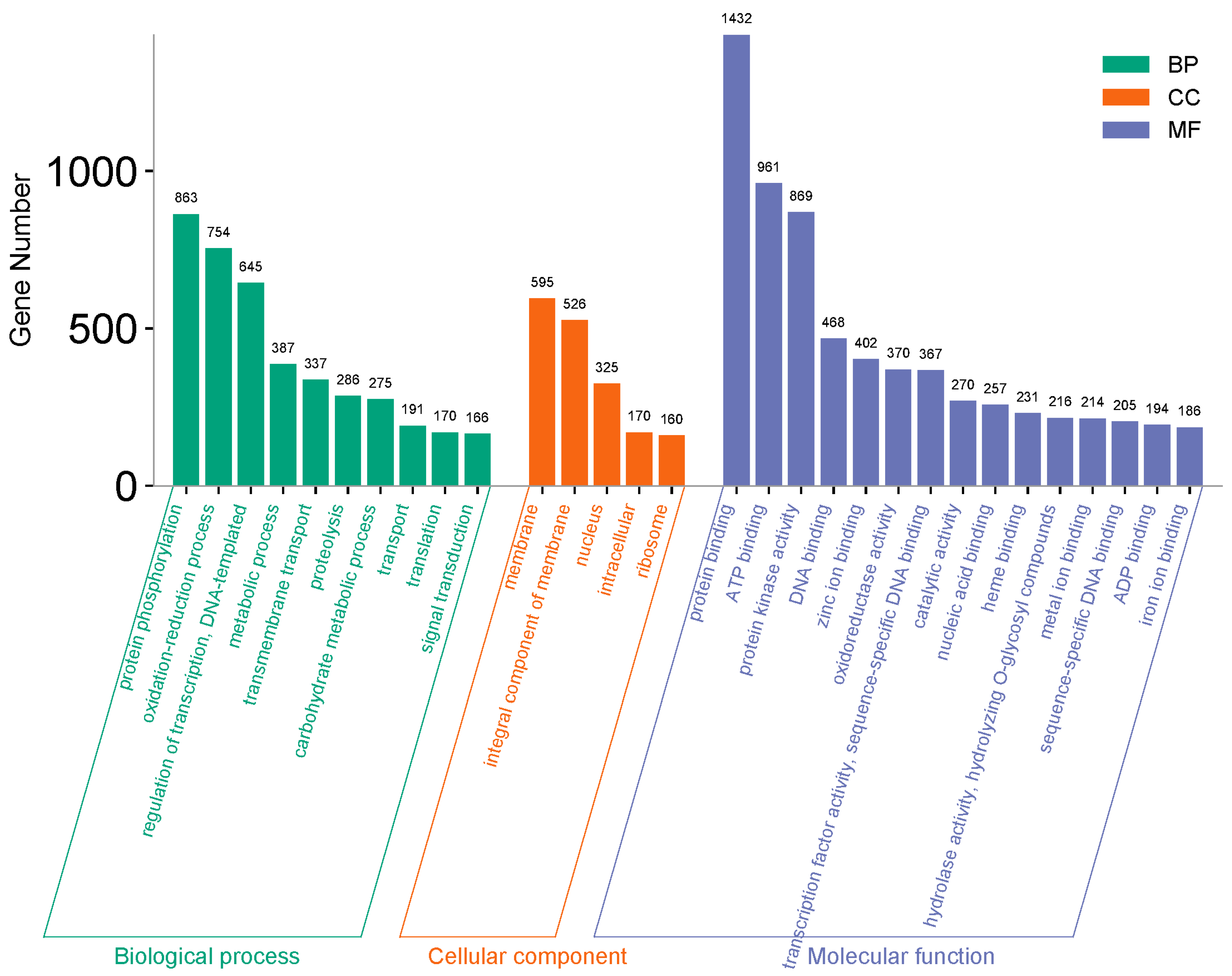 Agronomy 15 00906 g003