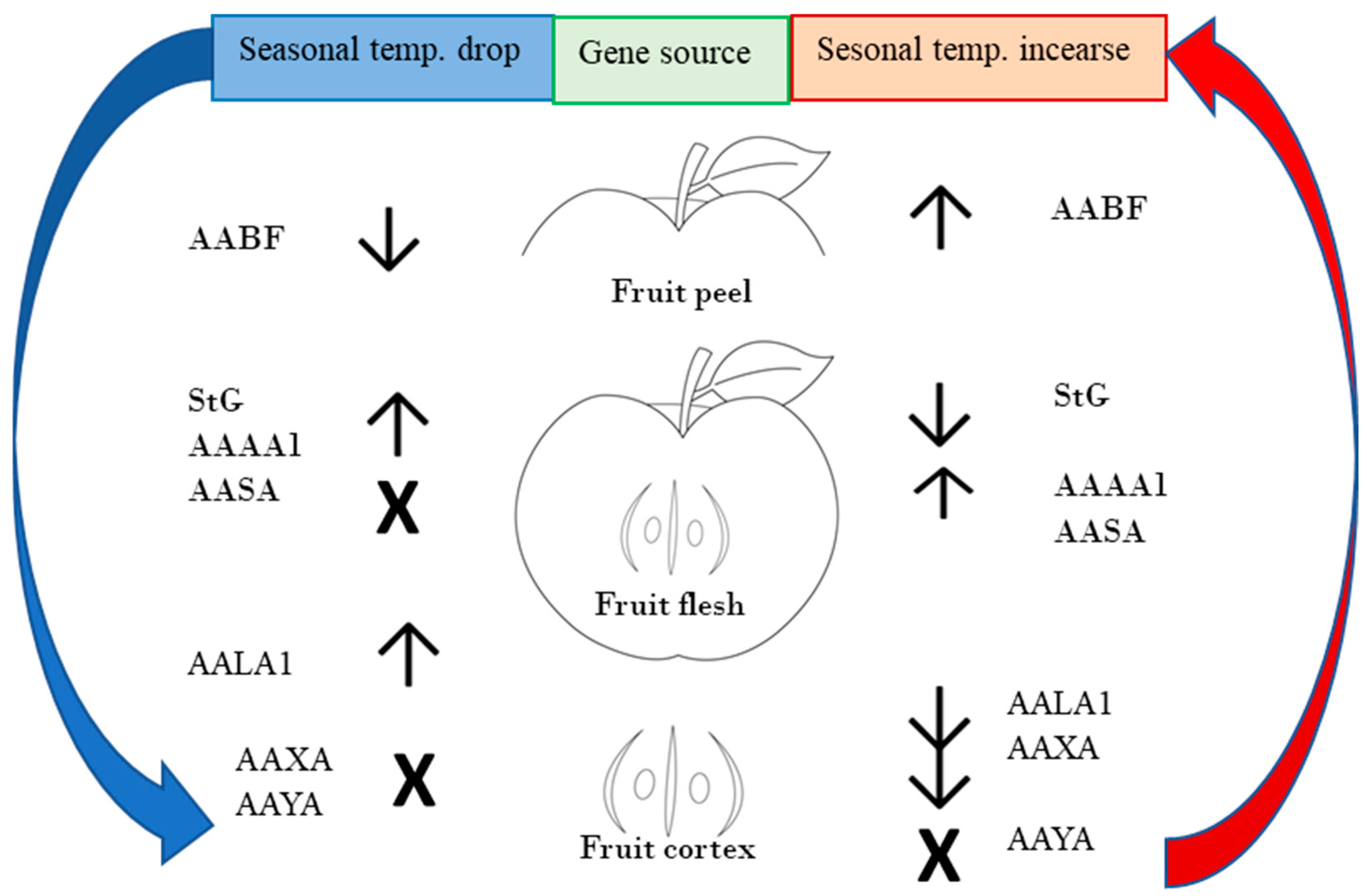 Agronomy 15 00908 g004