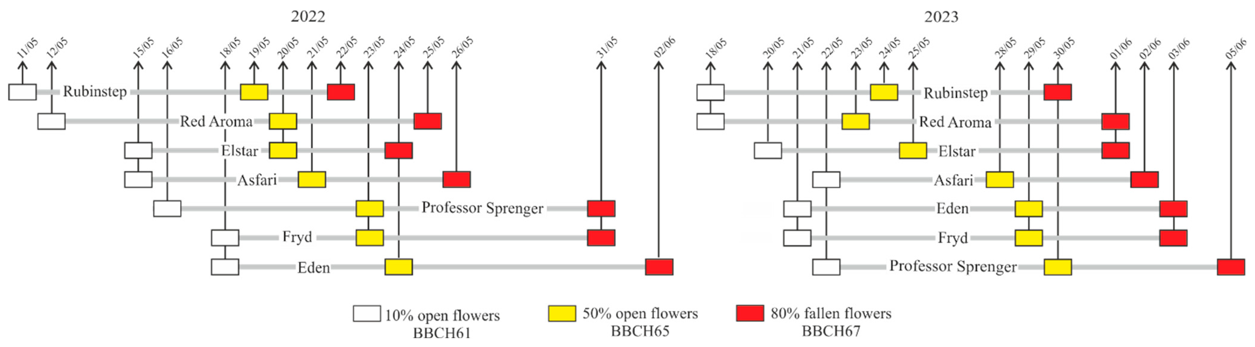 Agronomy 15 00909 g001