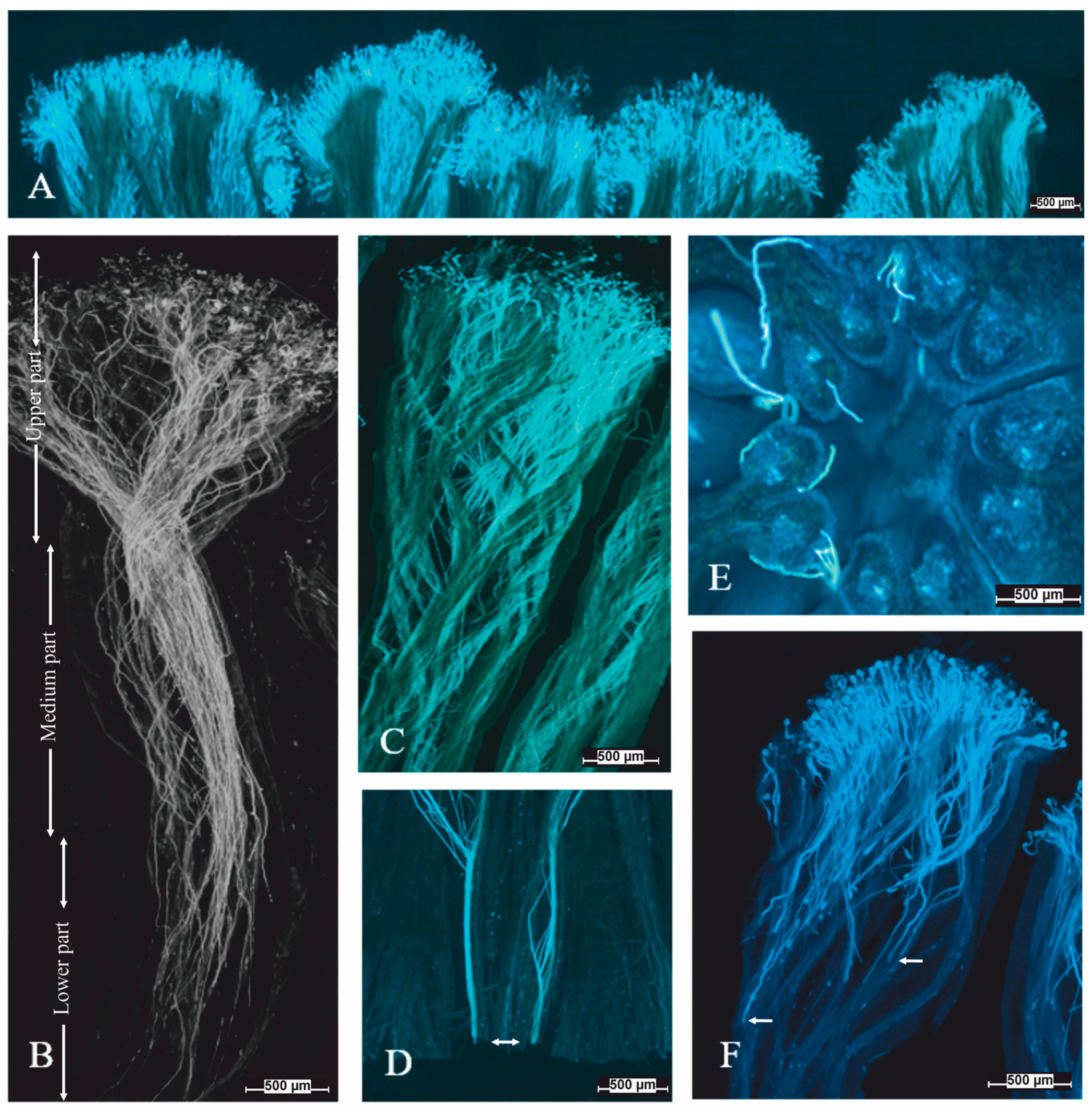 Agronomy 15 00909 g006