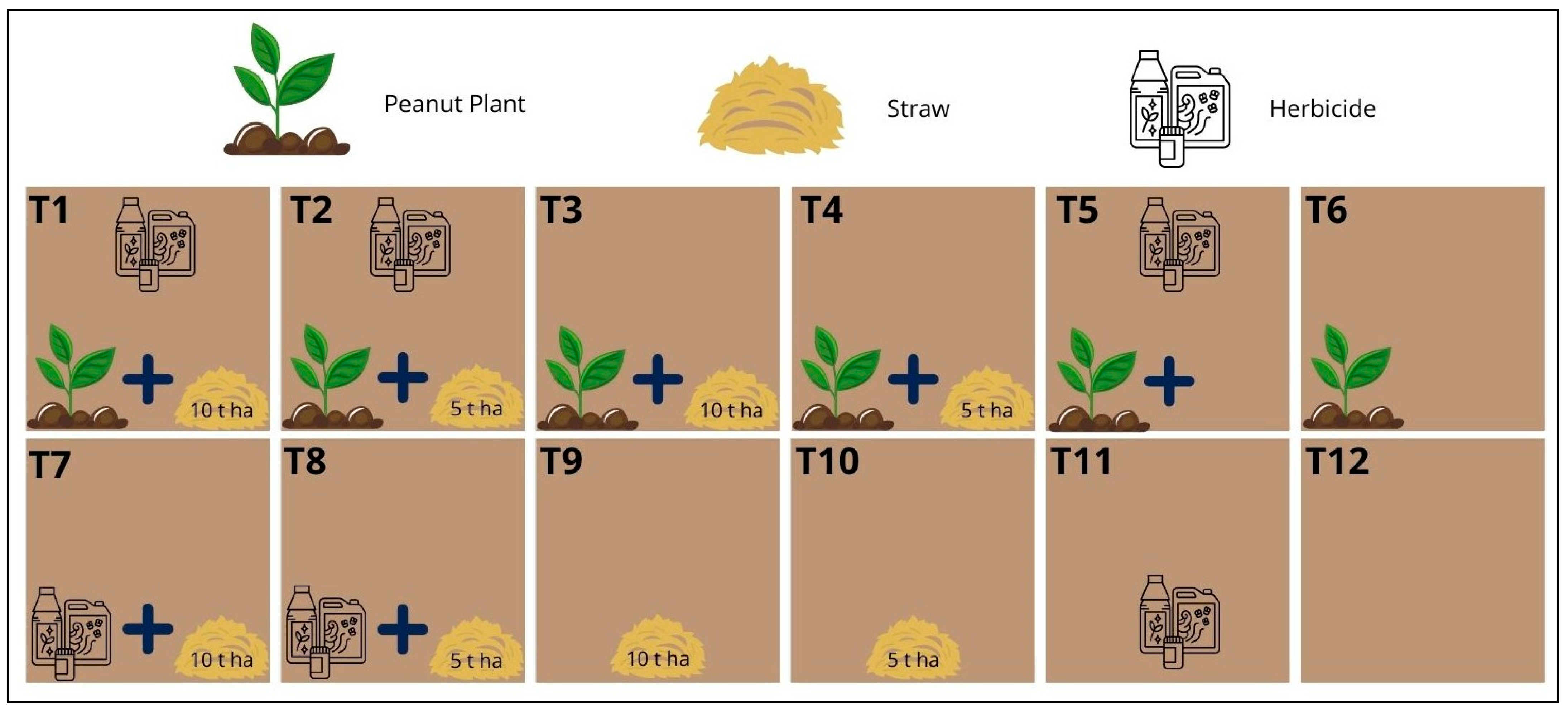 Agronomy 15 00912 g002
