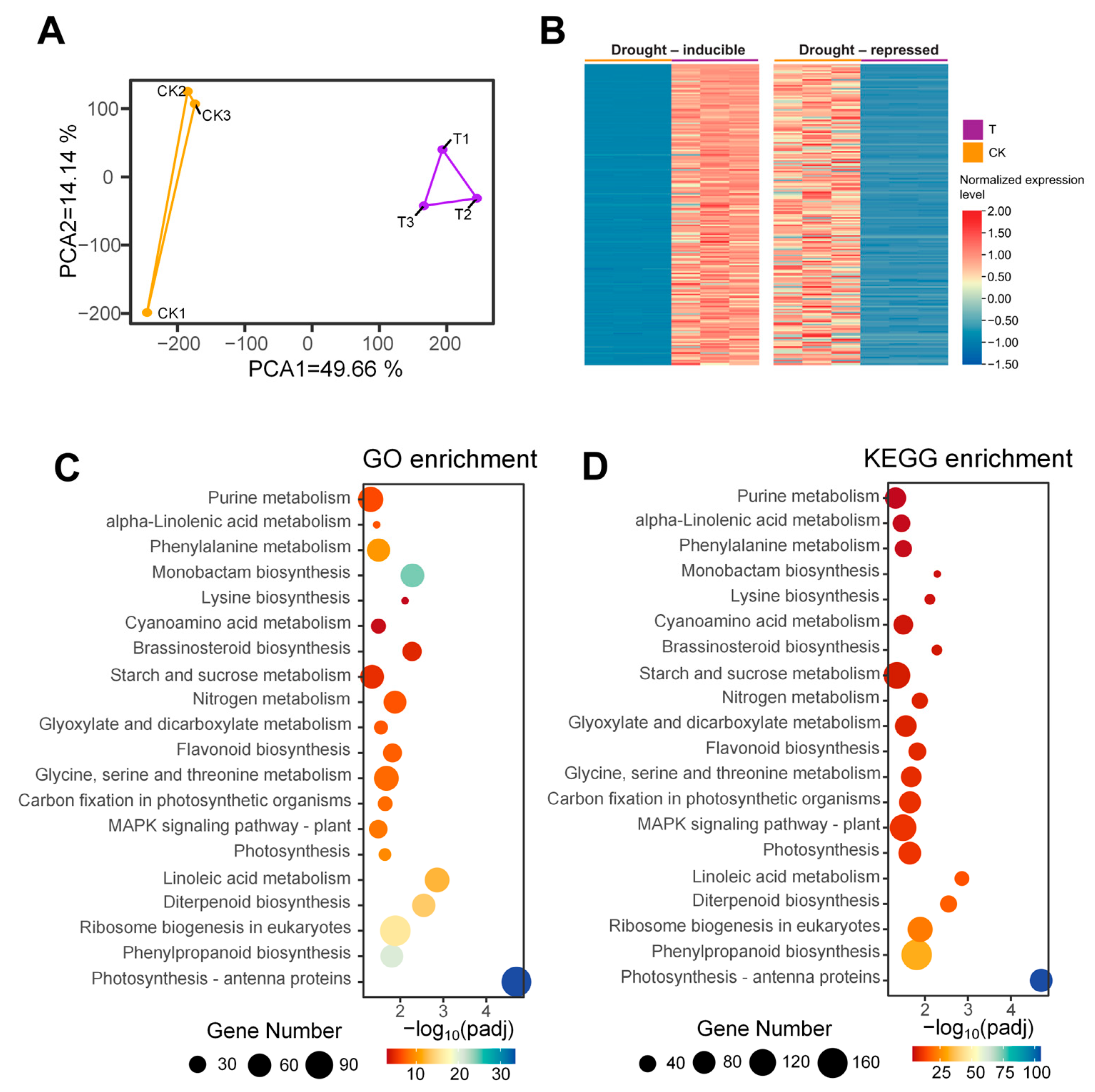 Agronomy 15 00922 g001