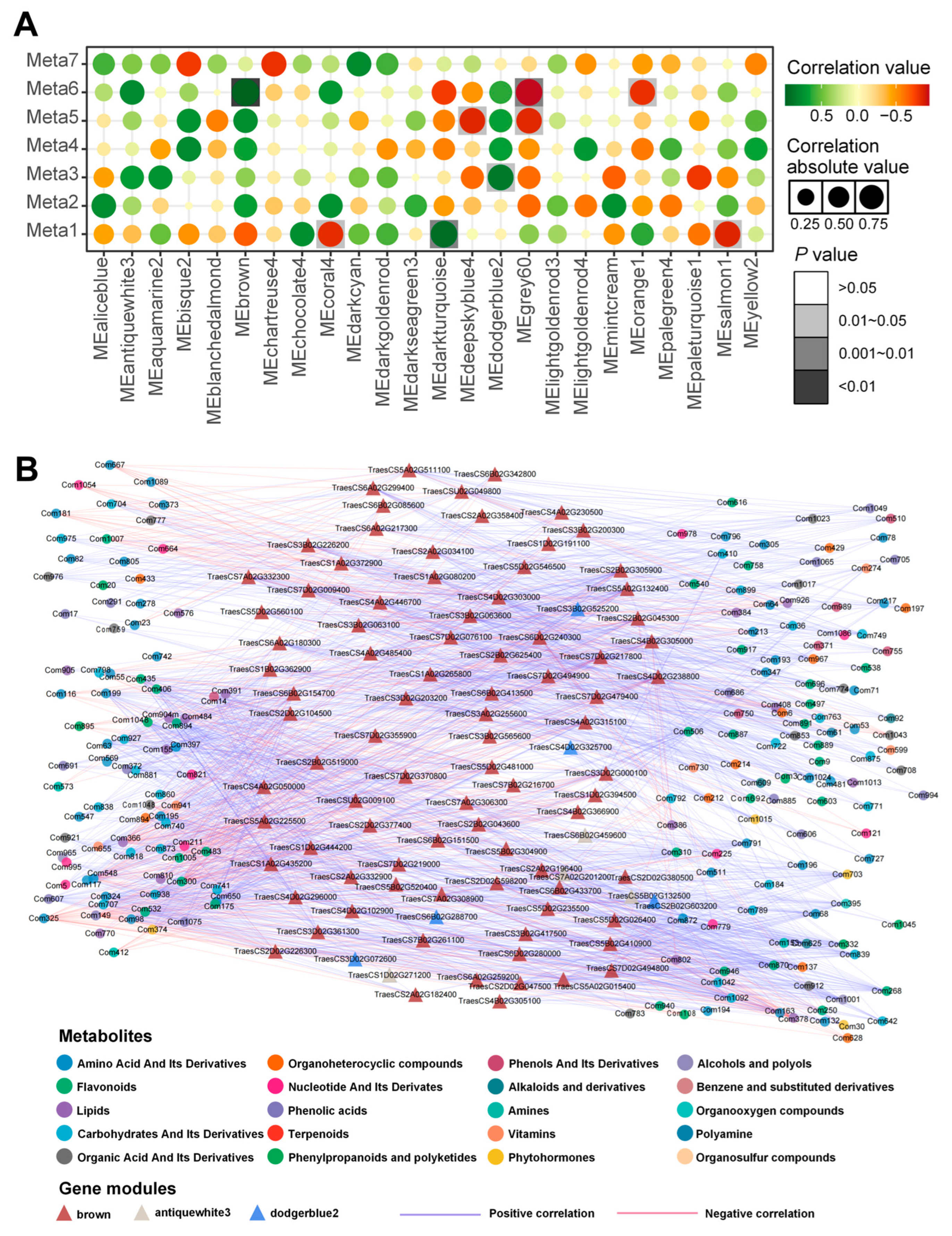 Agronomy 15 00922 g005