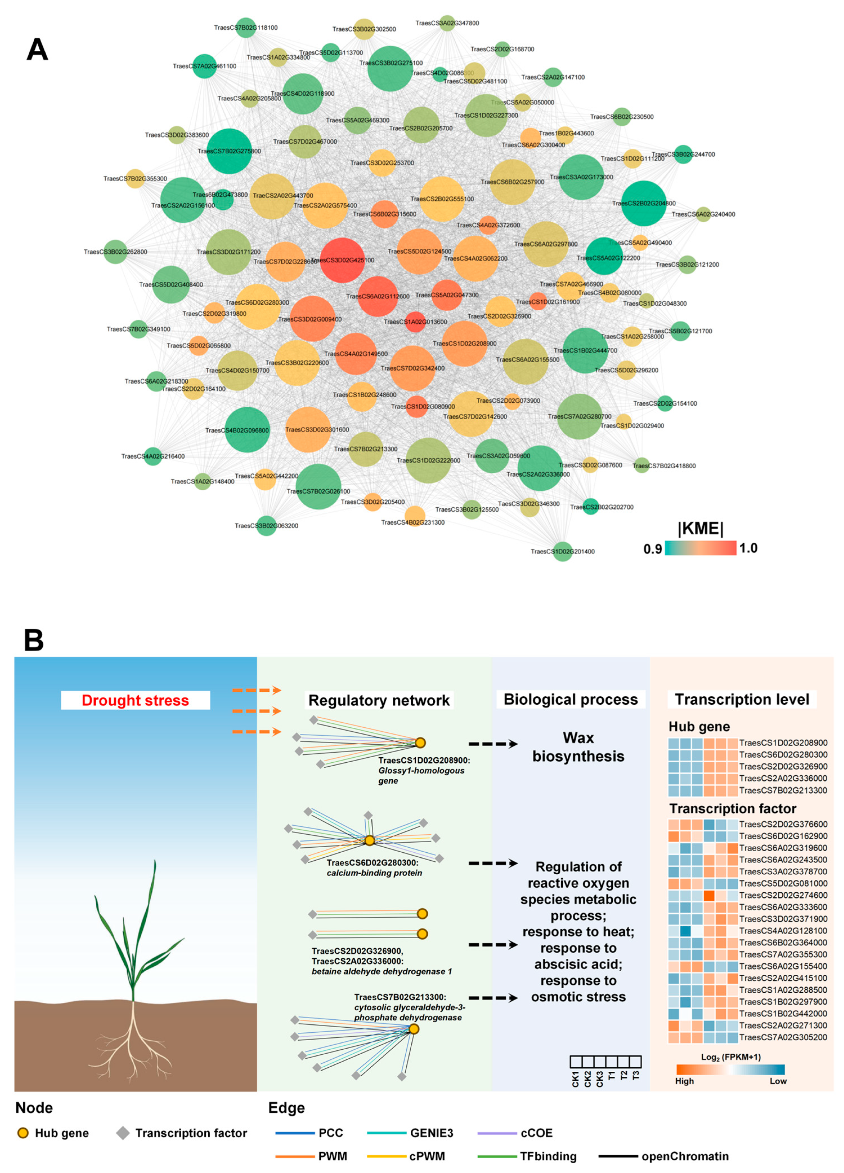 Agronomy 15 00922 g006