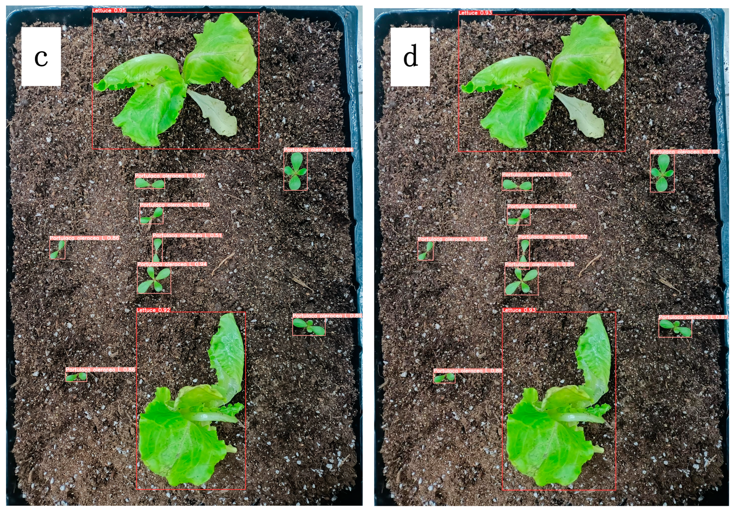 Agronomy 15 00925 g009b