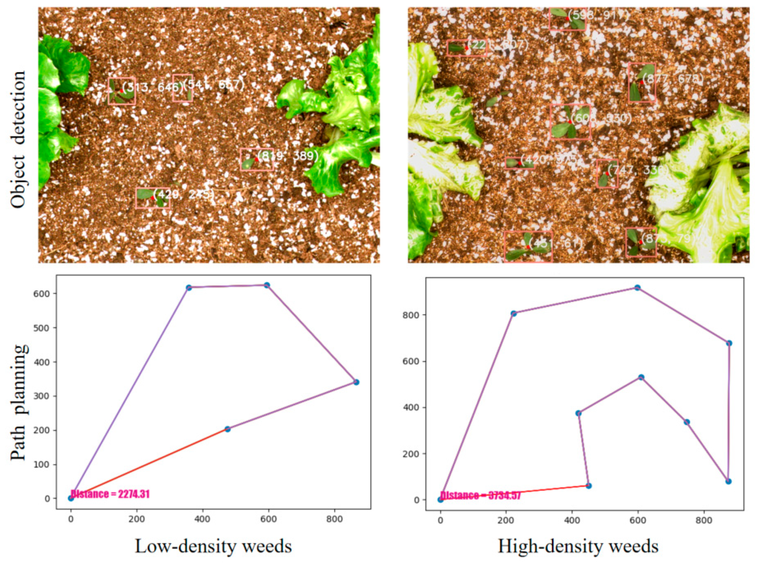 Agronomy 15 00925 g011