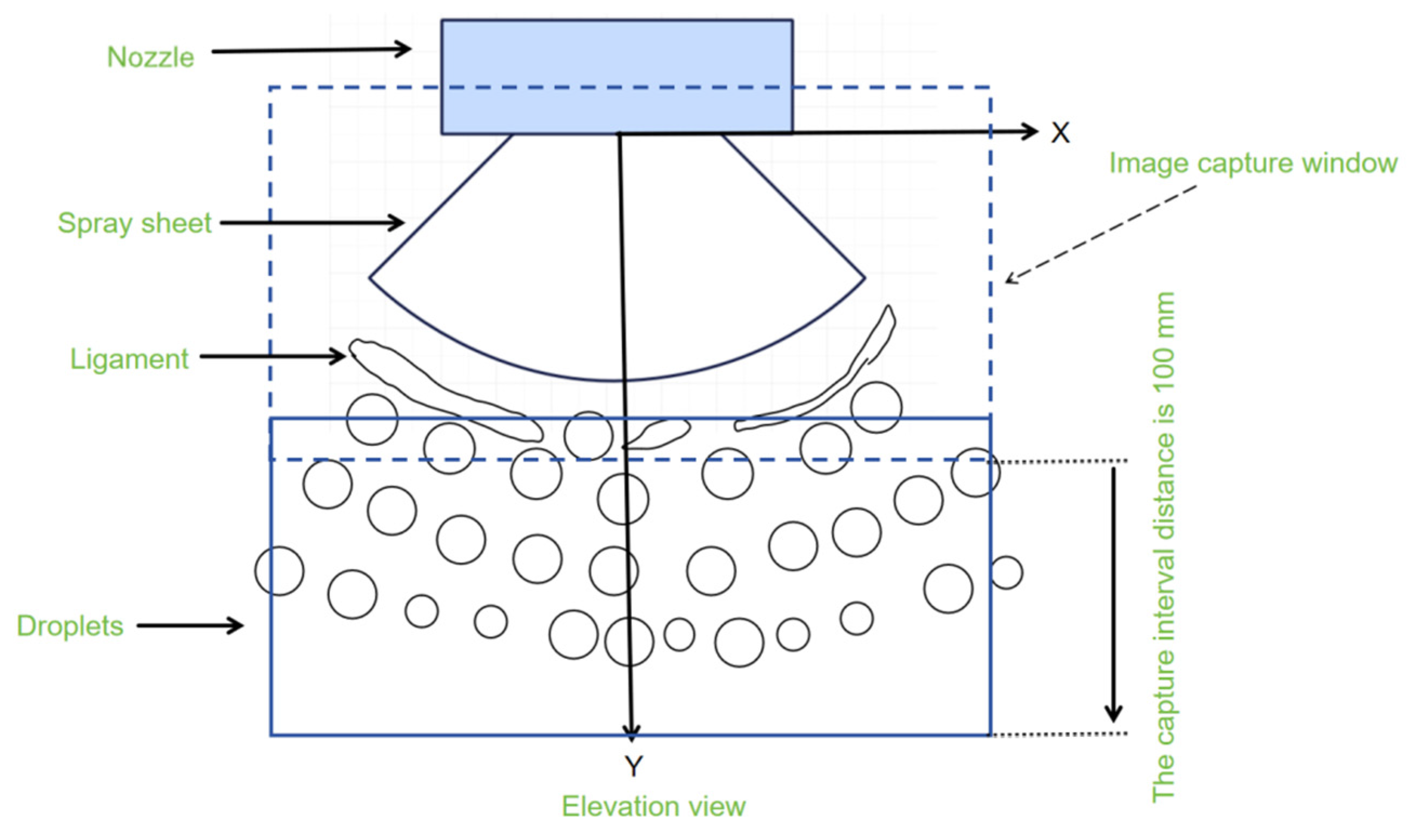Agronomy 15 00936 g003