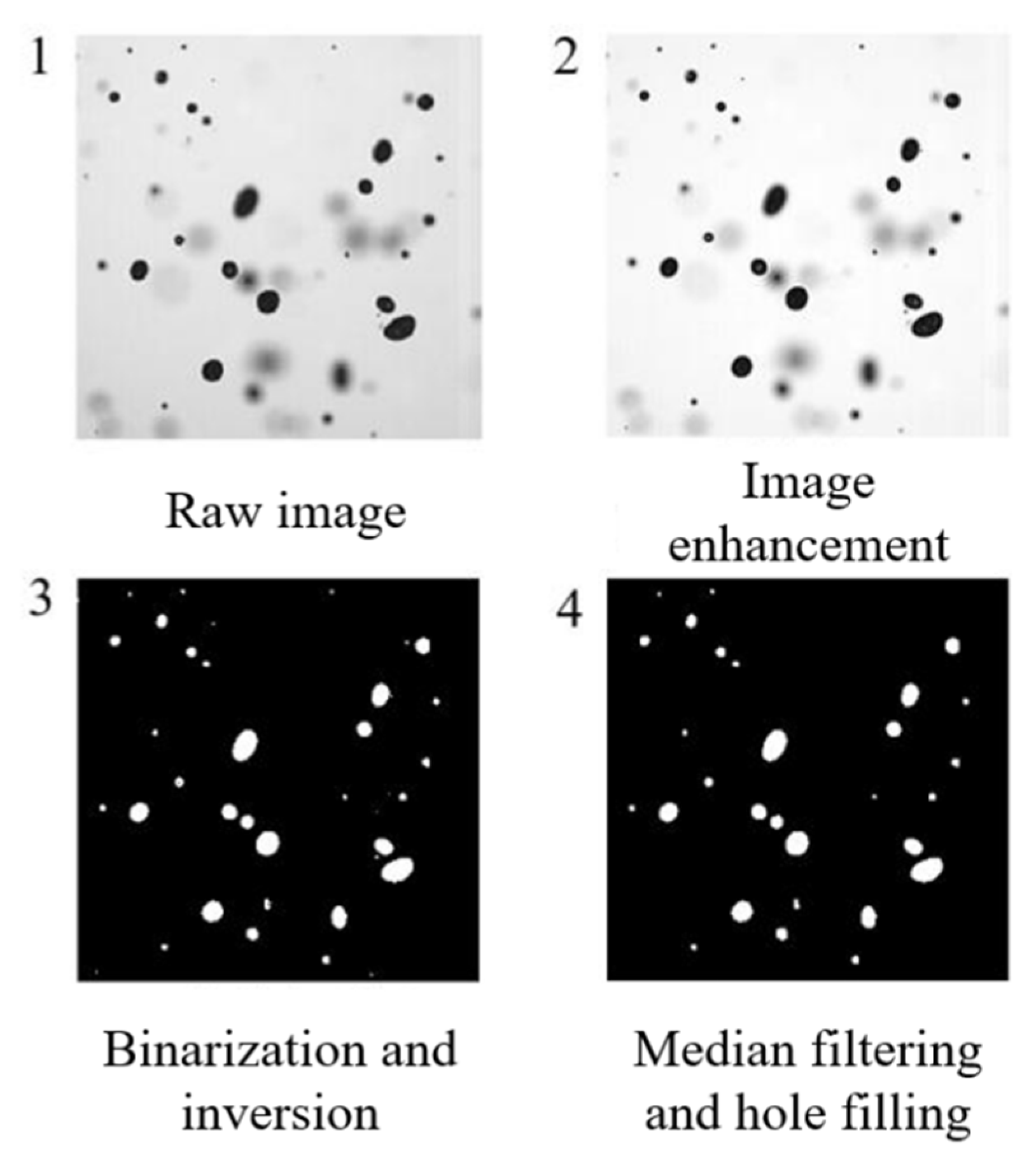 Agronomy 15 00936 g005