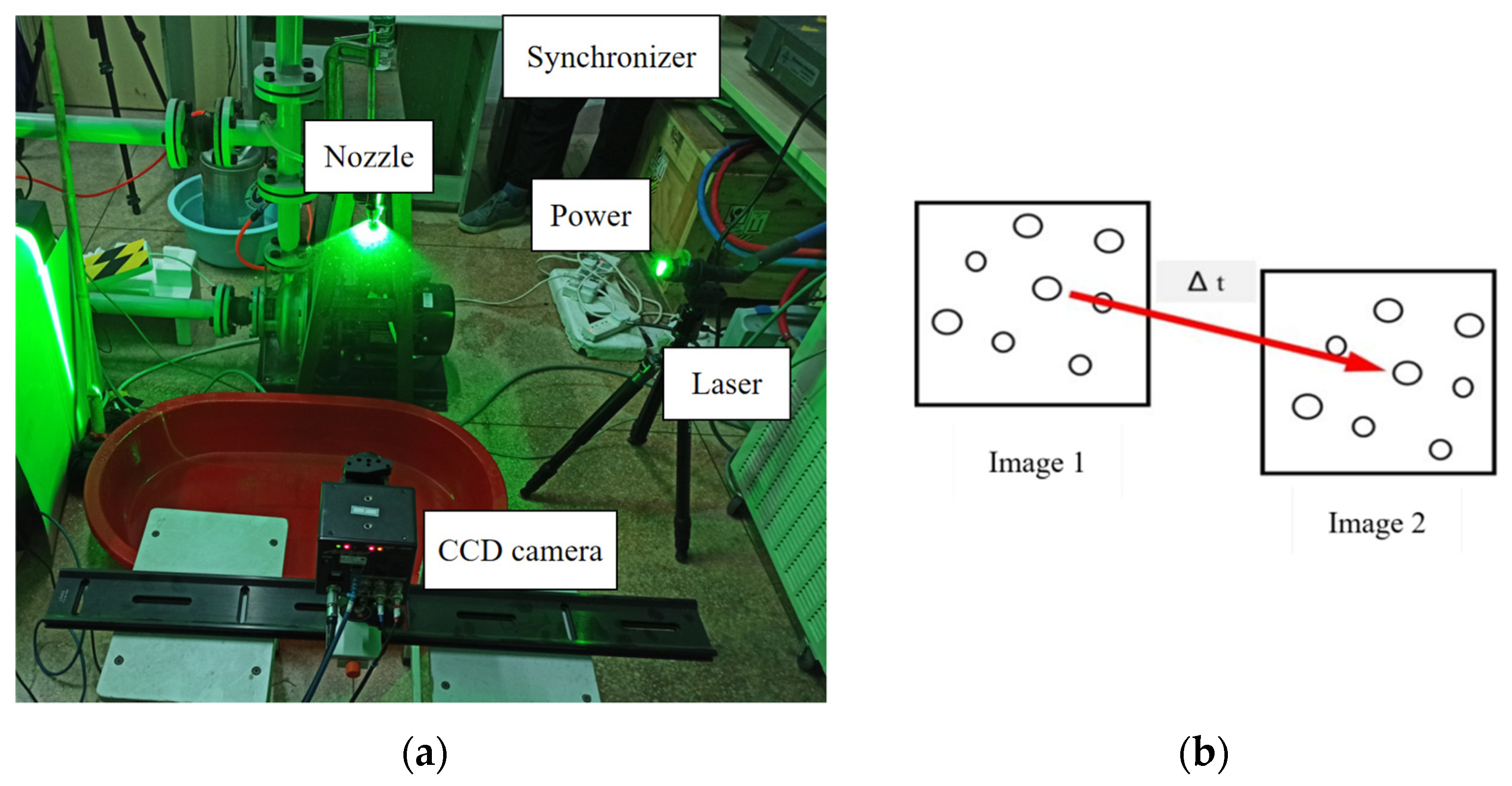 Agronomy 15 00936 g006