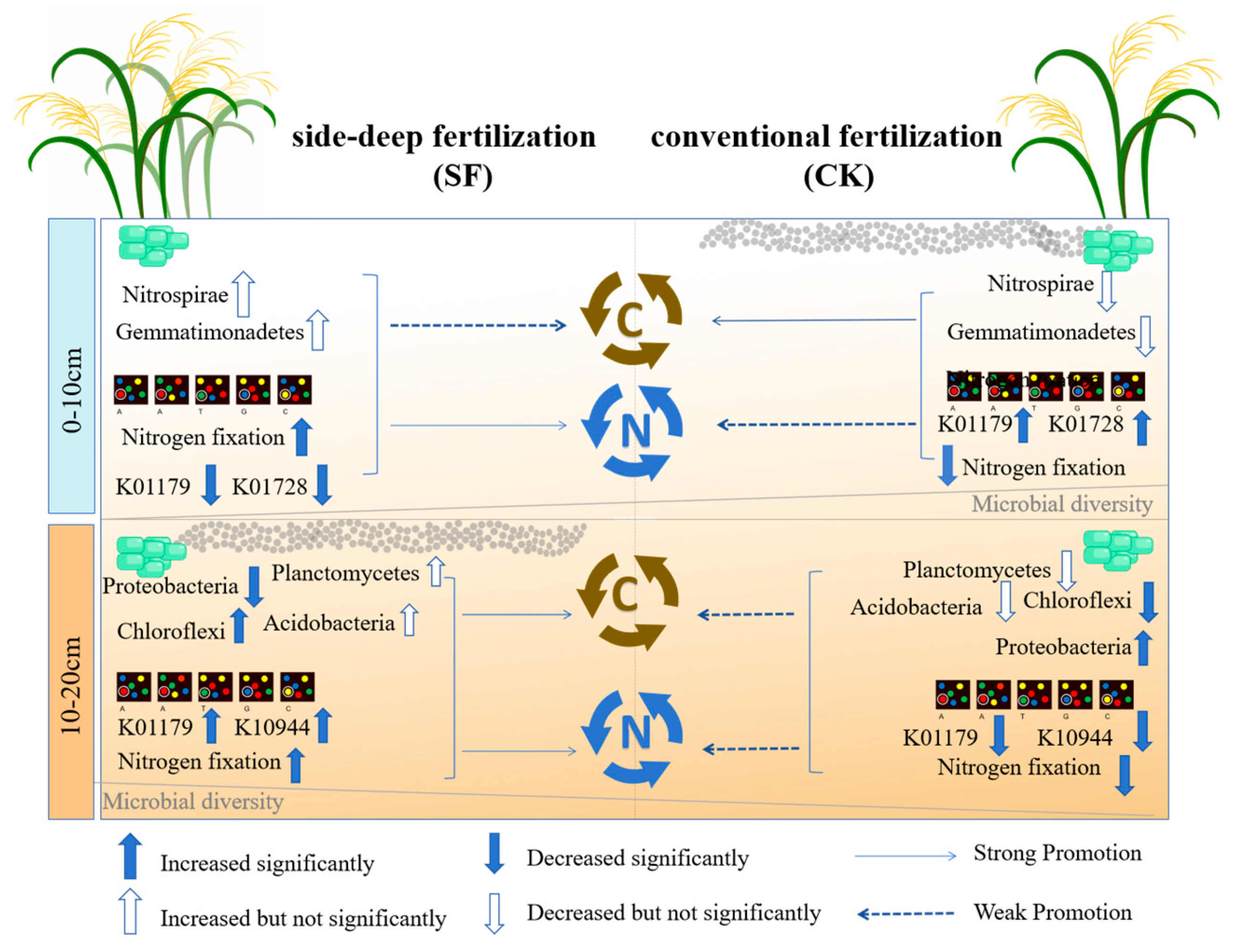 Agronomy 15 00938 g007