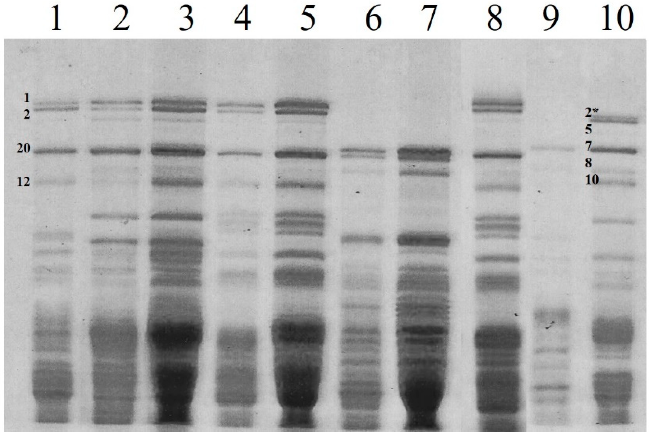 Agronomy 15 00939 g002