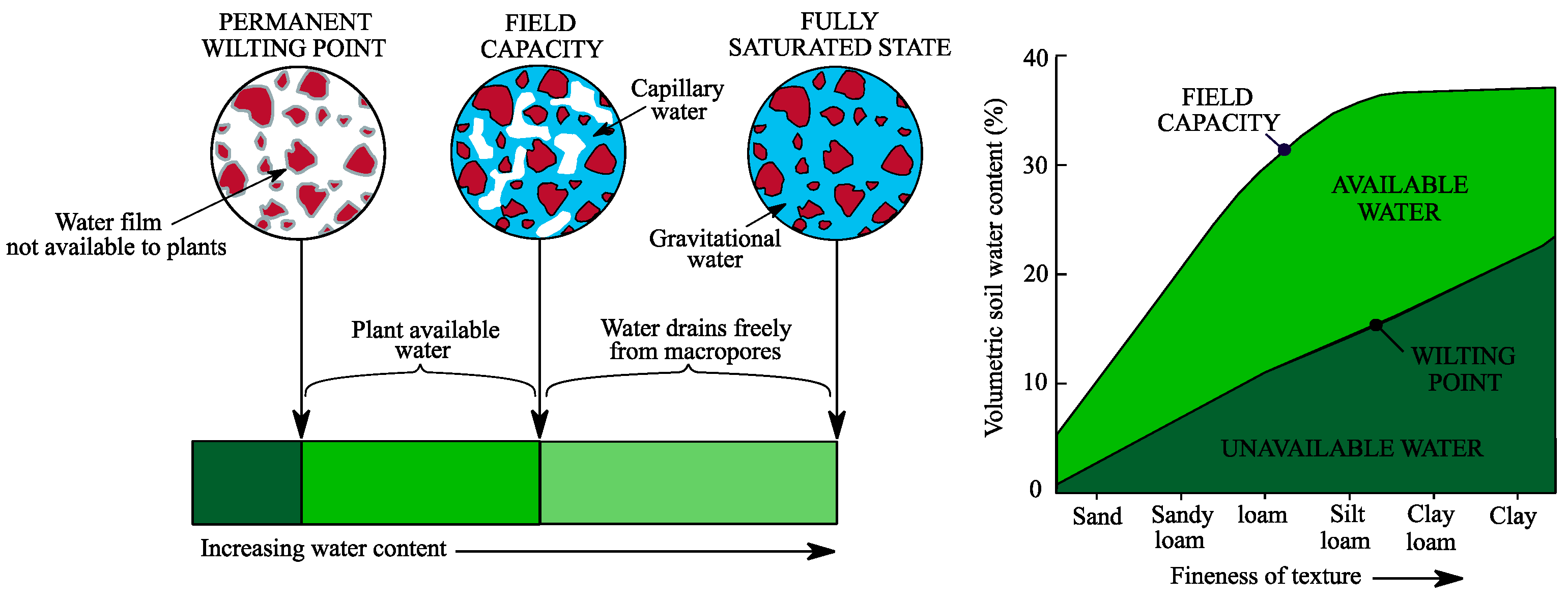 Agronomy 15 00942 g001 Agronomy 15 00942 g001