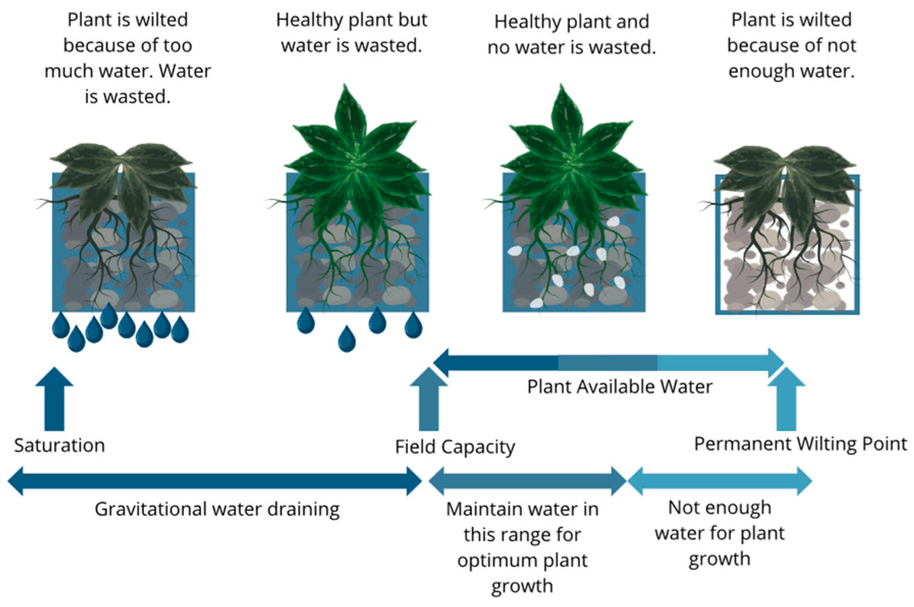 Agronomy 15 00942 g014 Agronomy 15 00942 g014