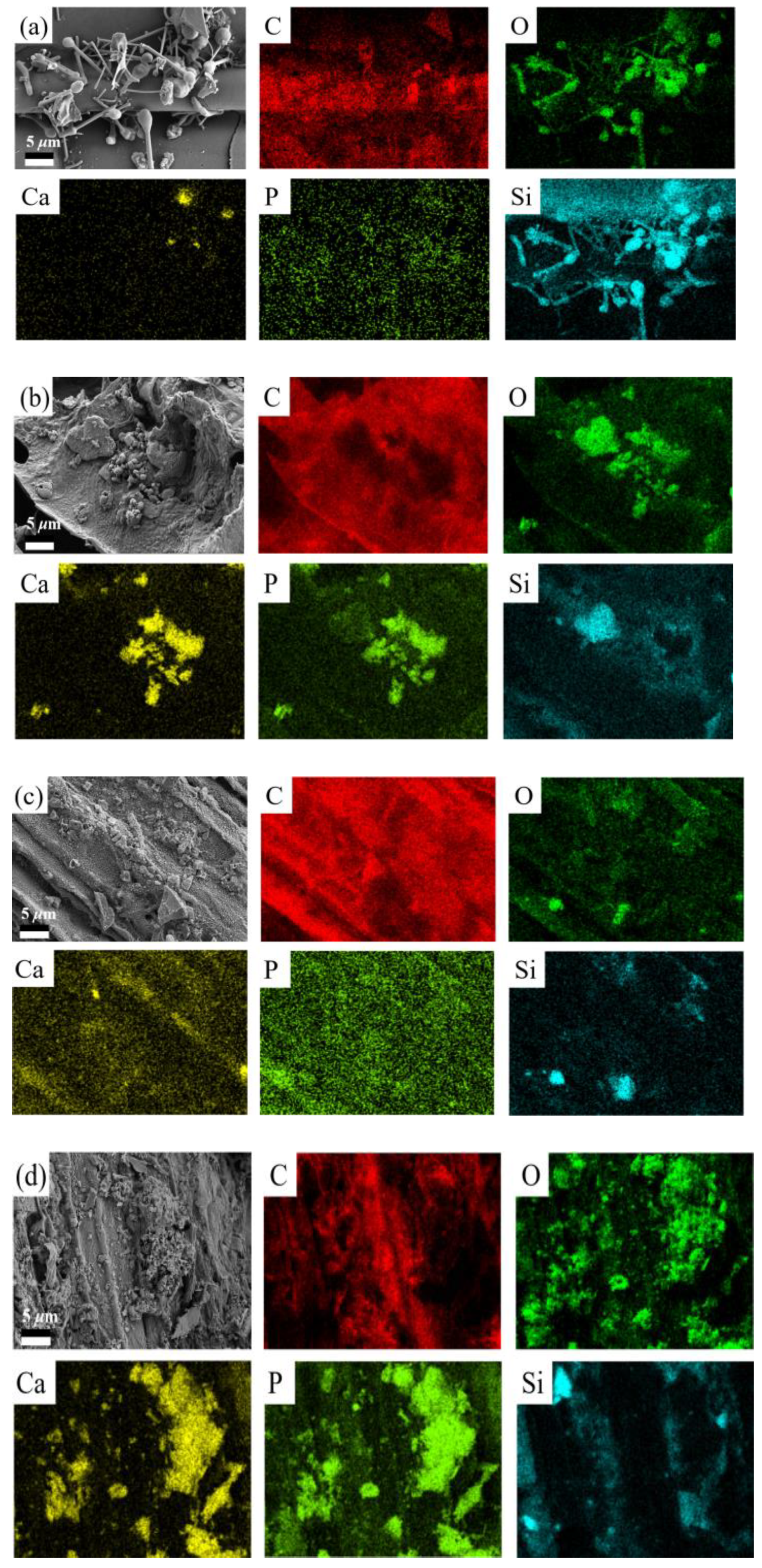 Agronomy 15 00943 g004