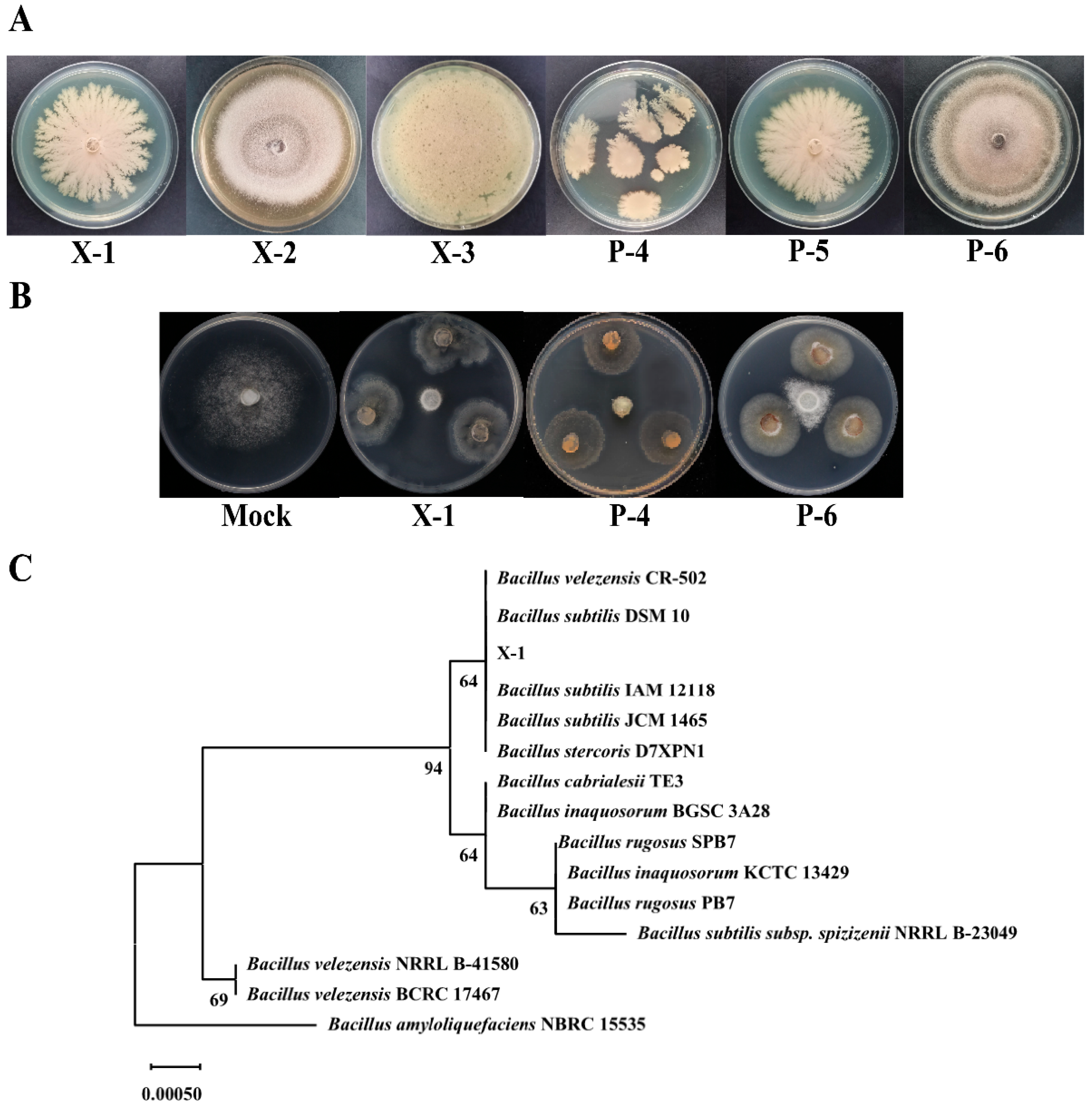 Agronomy 15 00946 g003
