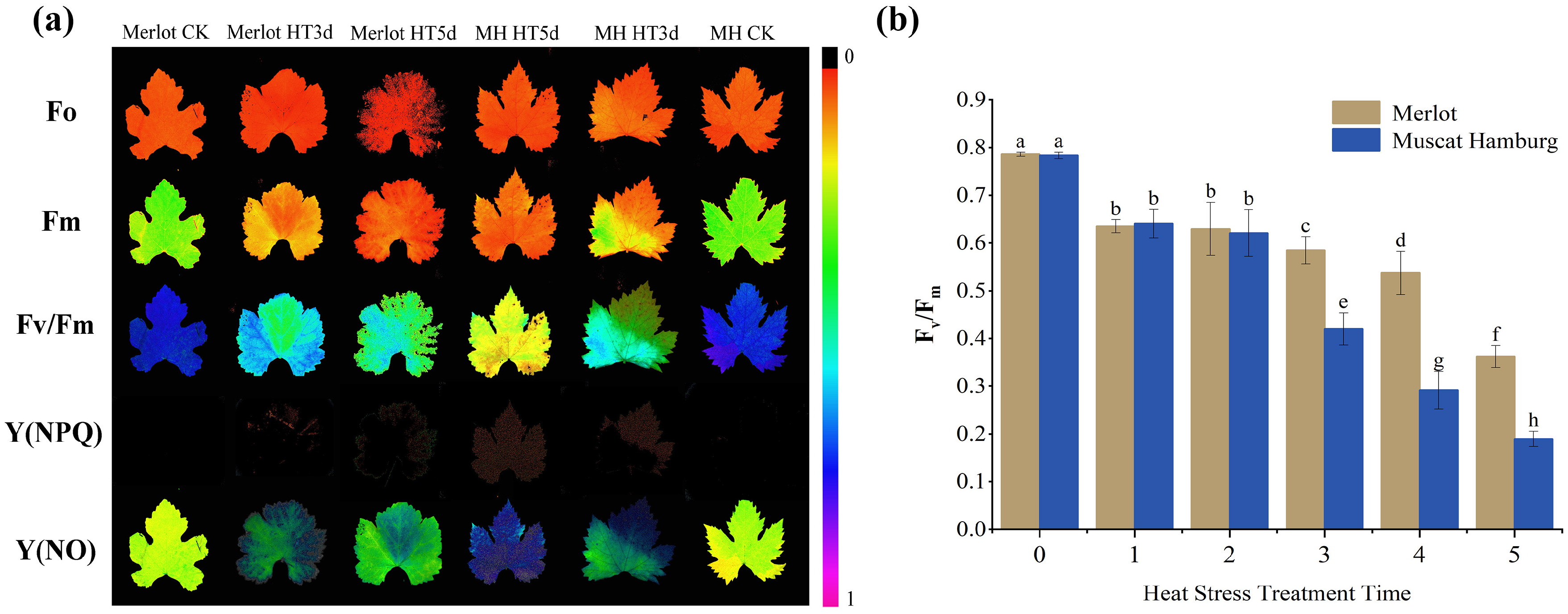 Agronomy 15 00948 g006