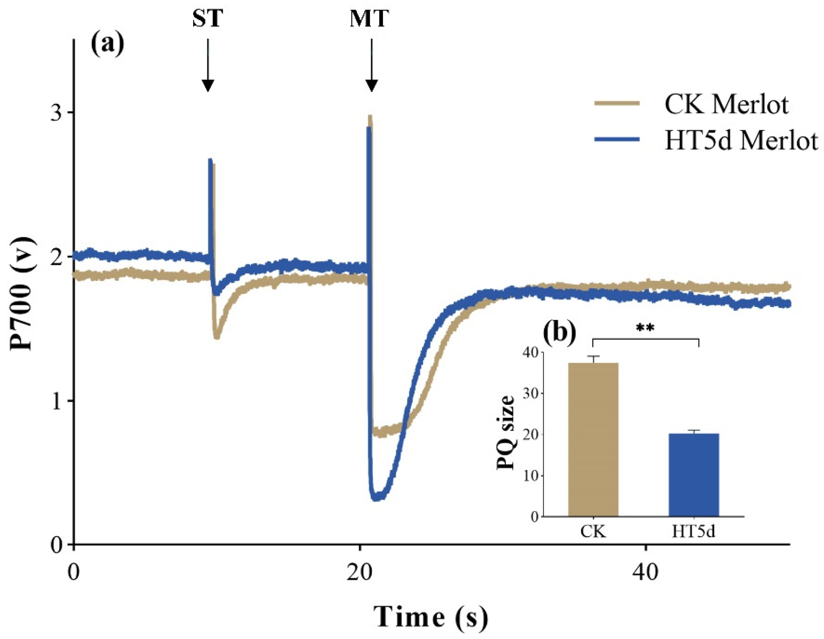 Agronomy 15 00948 g008
