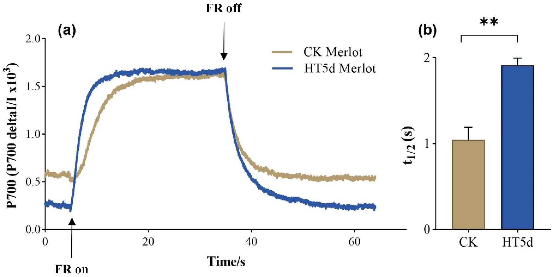 Agronomy 15 00948 g010