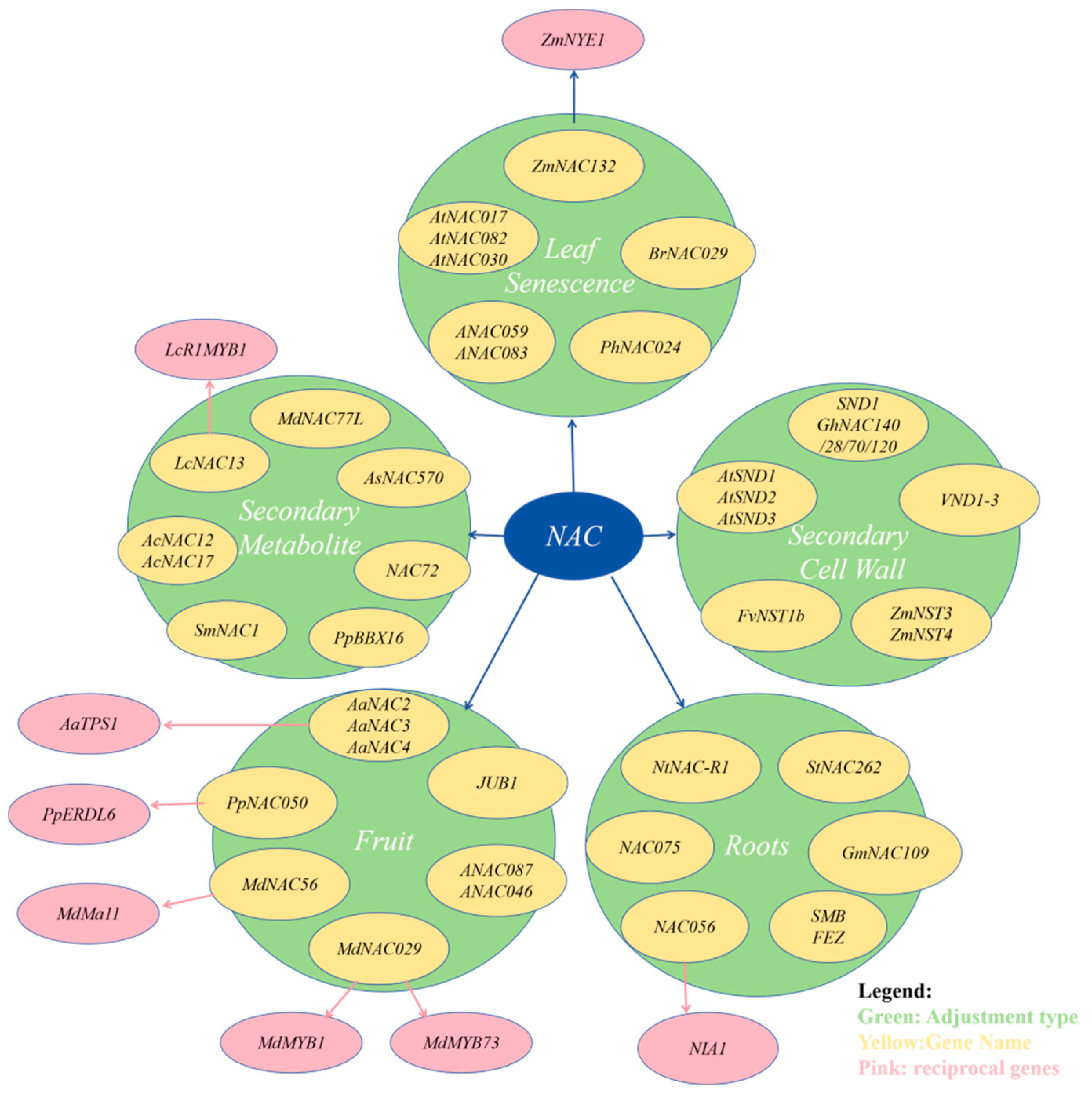 Agronomy 15 00949 g002