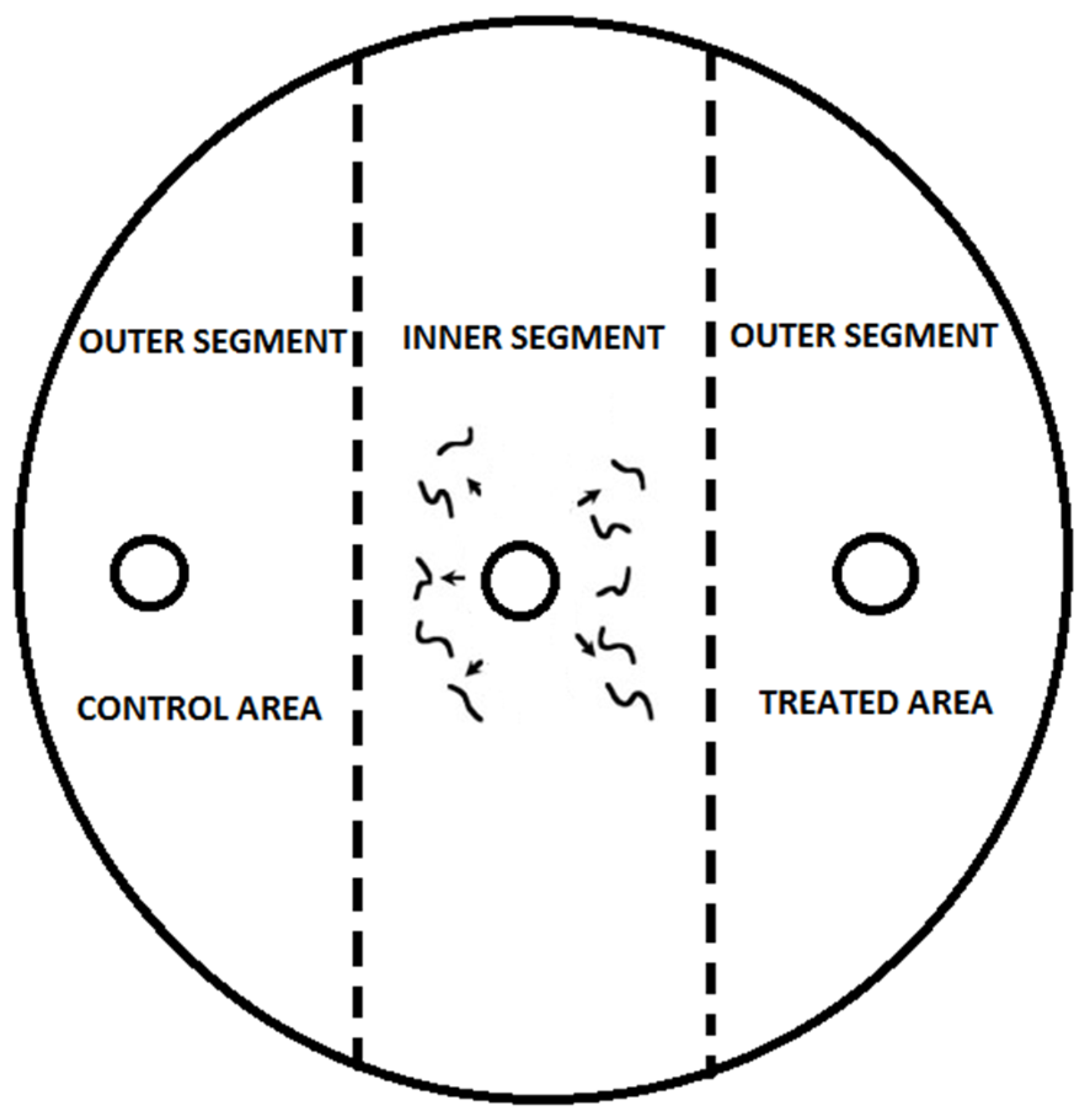 Agronomy 15 00951 g001