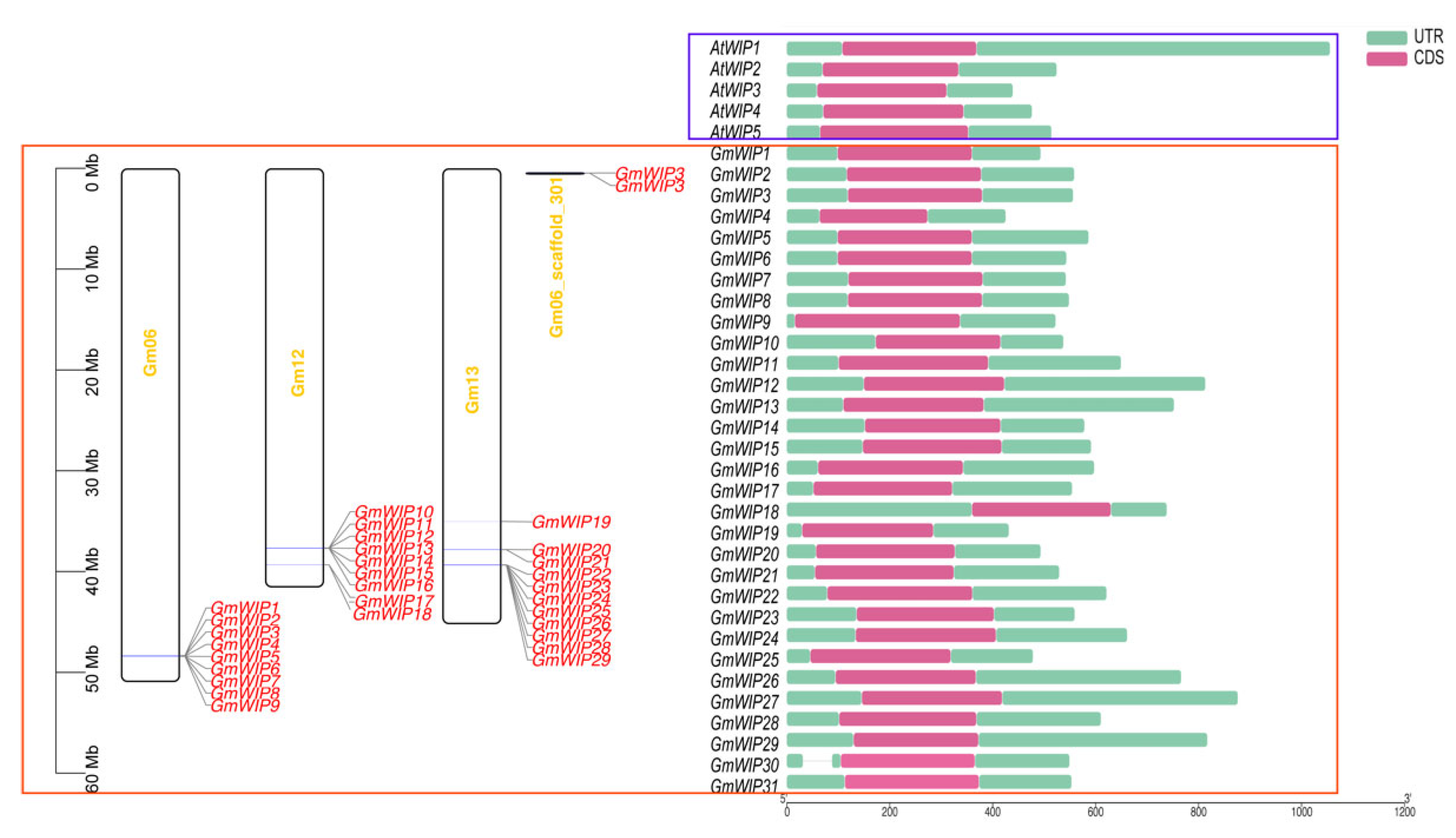 Agronomy 15 00957 g001