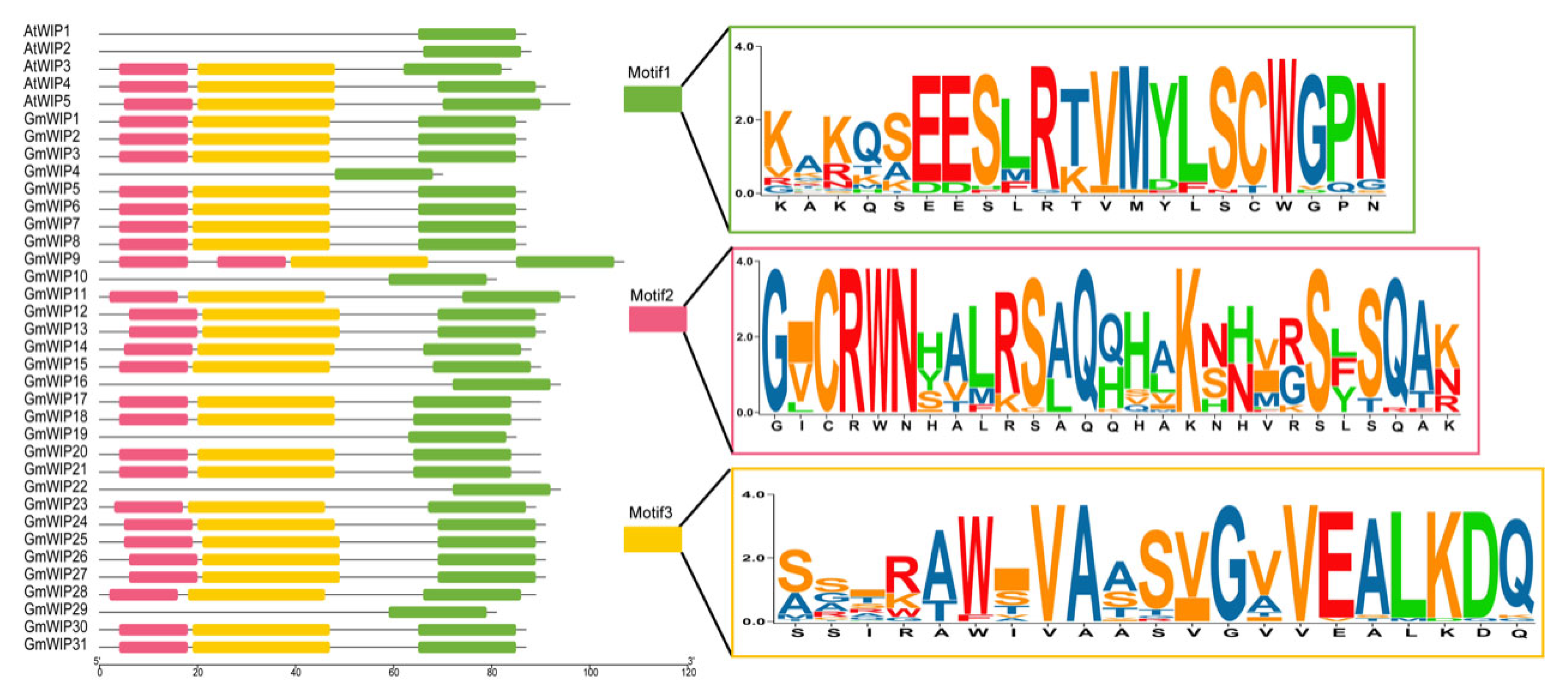 Agronomy 15 00957 g002