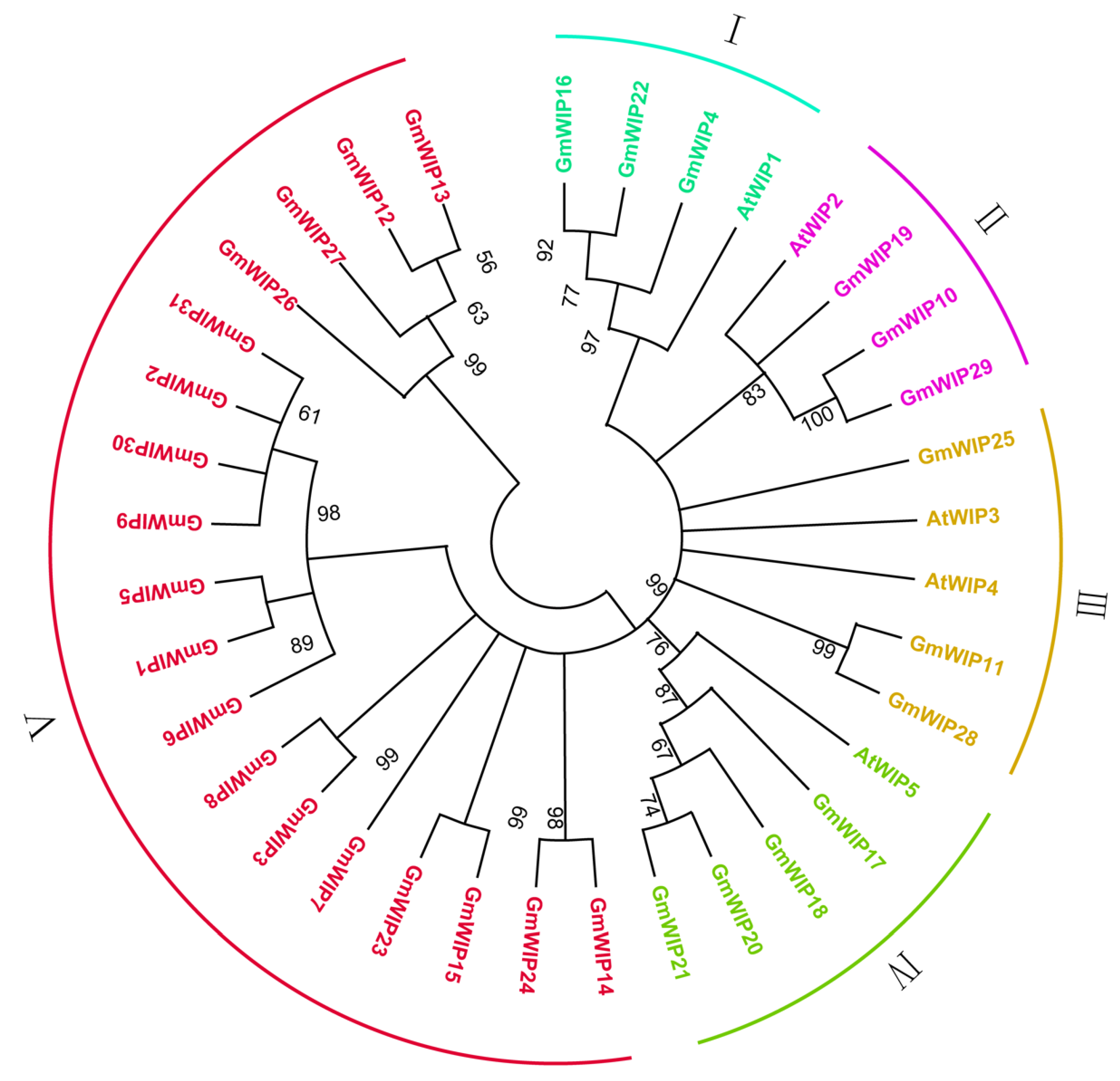 Agronomy 15 00957 g003