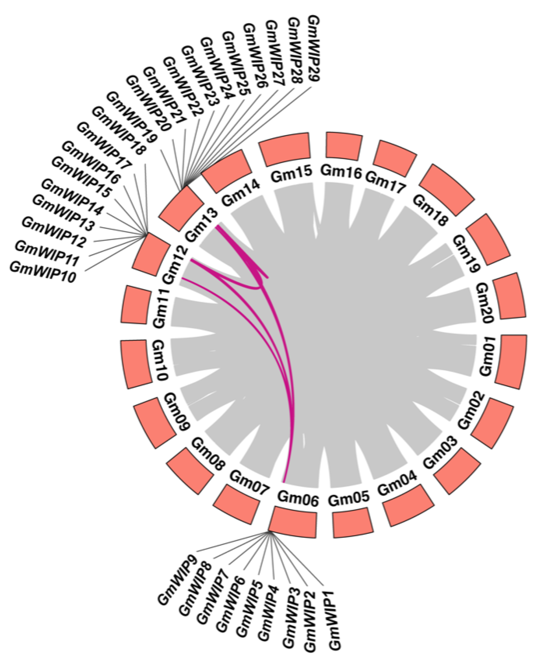 Agronomy 15 00957 g004
