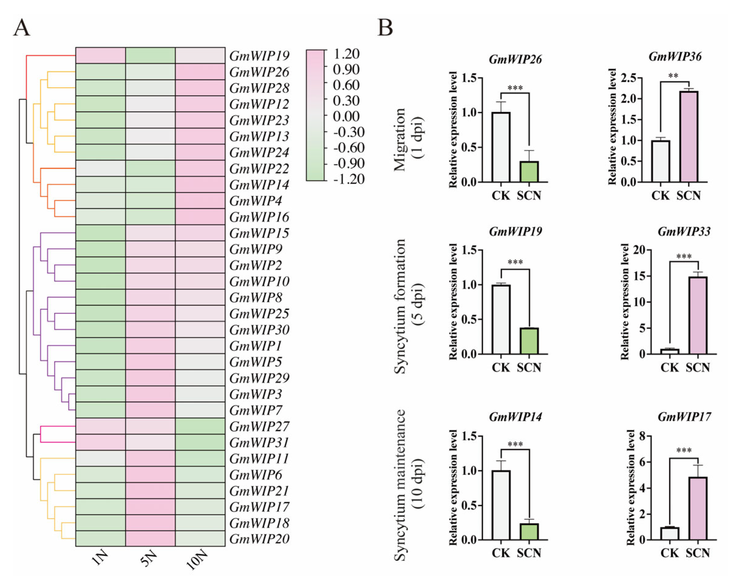 Agronomy 15 00957 g006