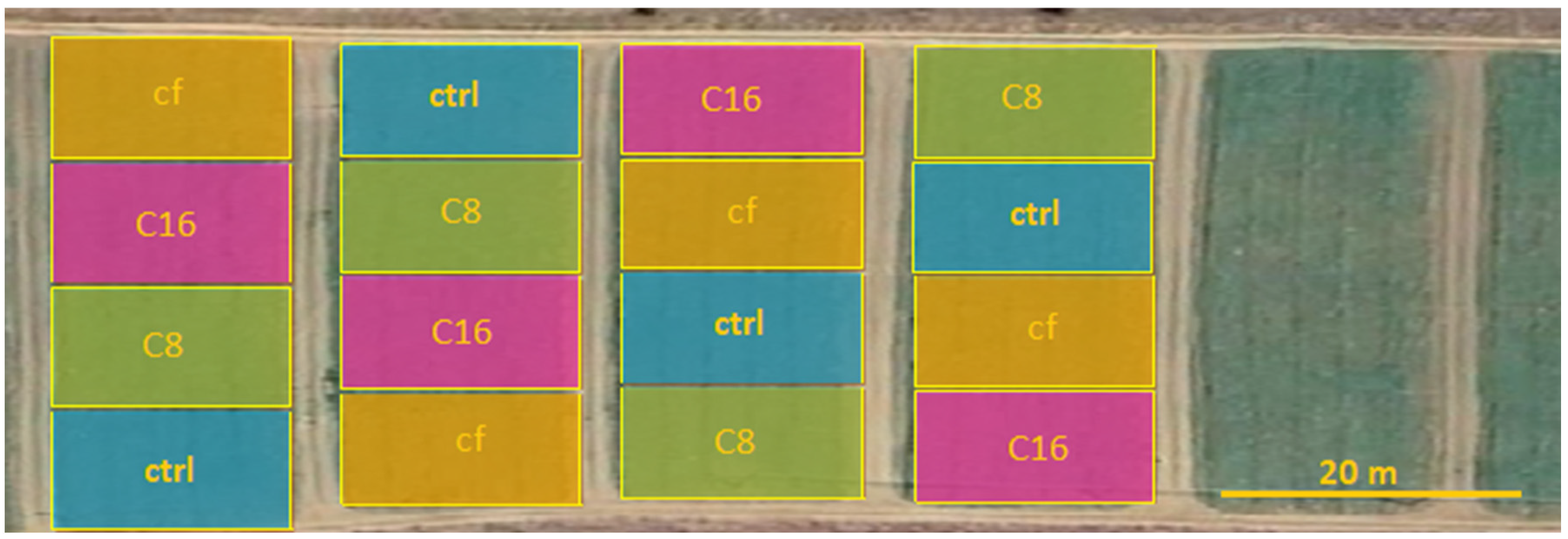 Agronomy 15 00958 g001