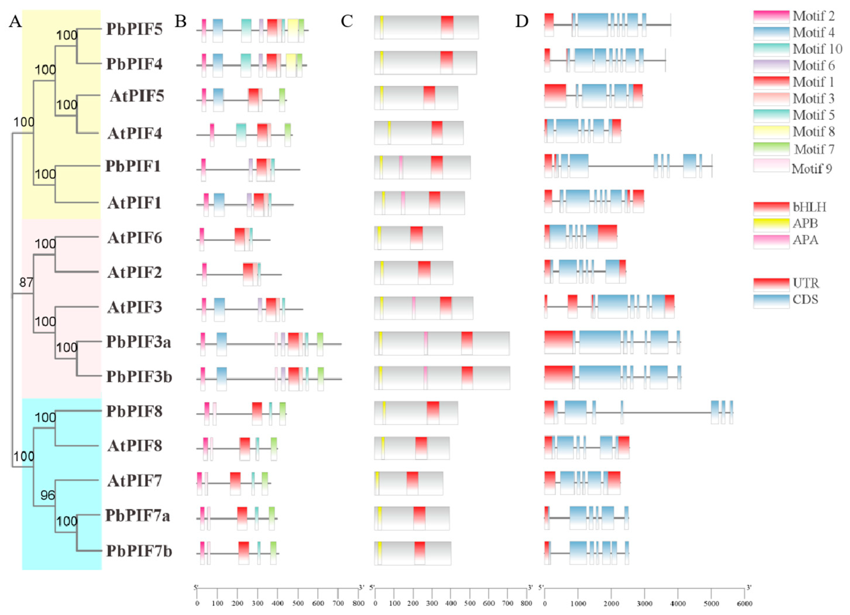 Agronomy 15 00959 g002