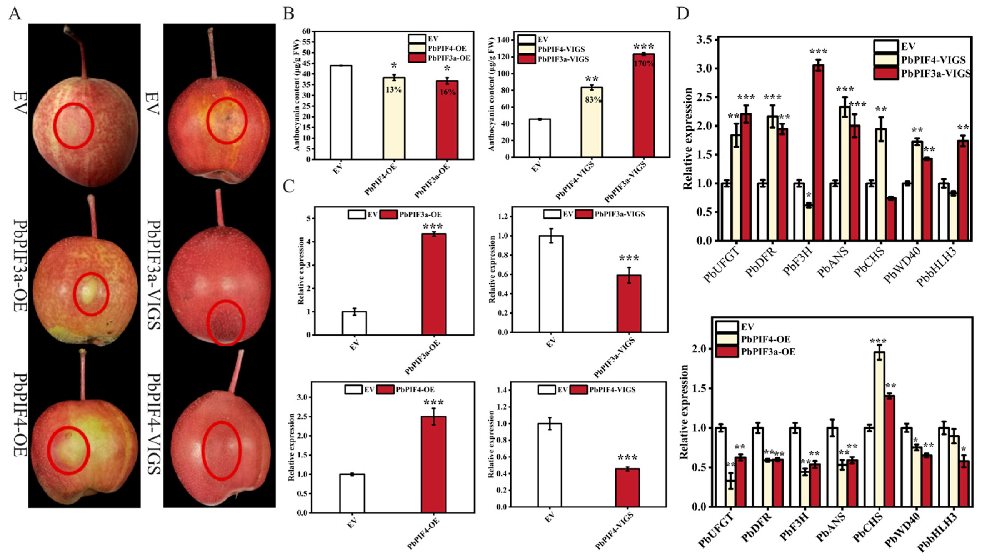 Agronomy 15 00959 g006