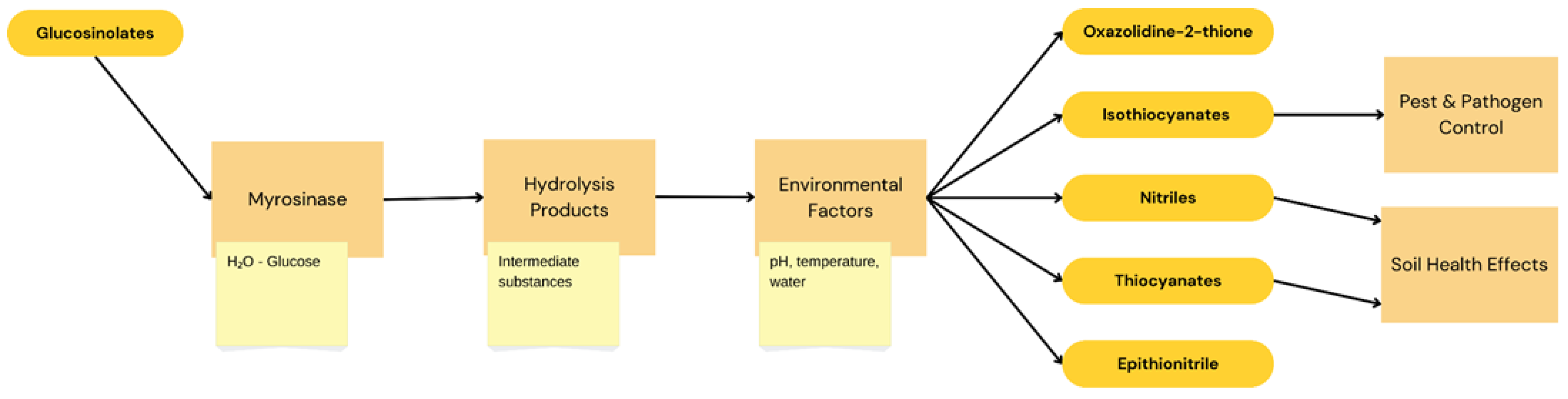 Agronomy 15 00967 g001