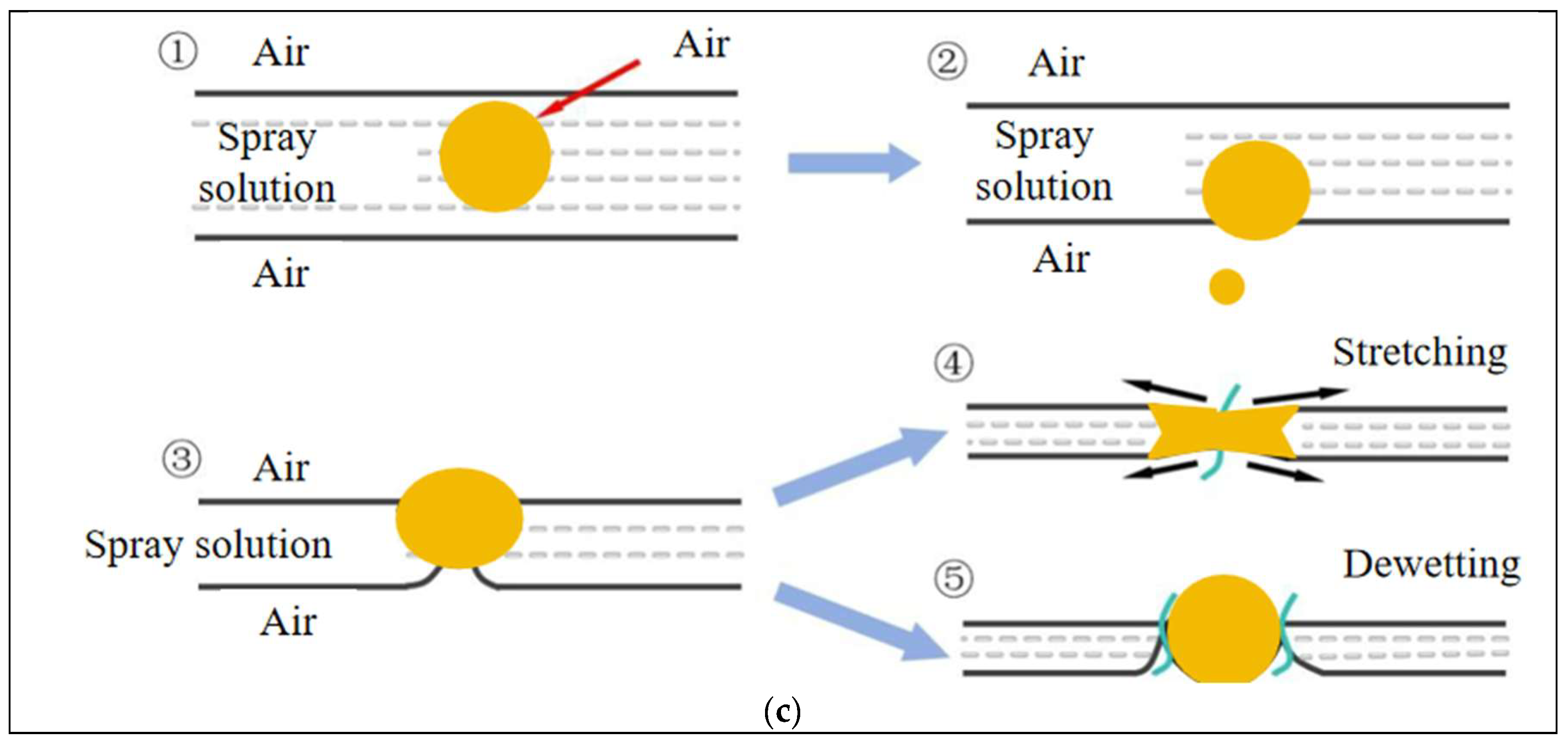 Agronomy 15 00979 g007b